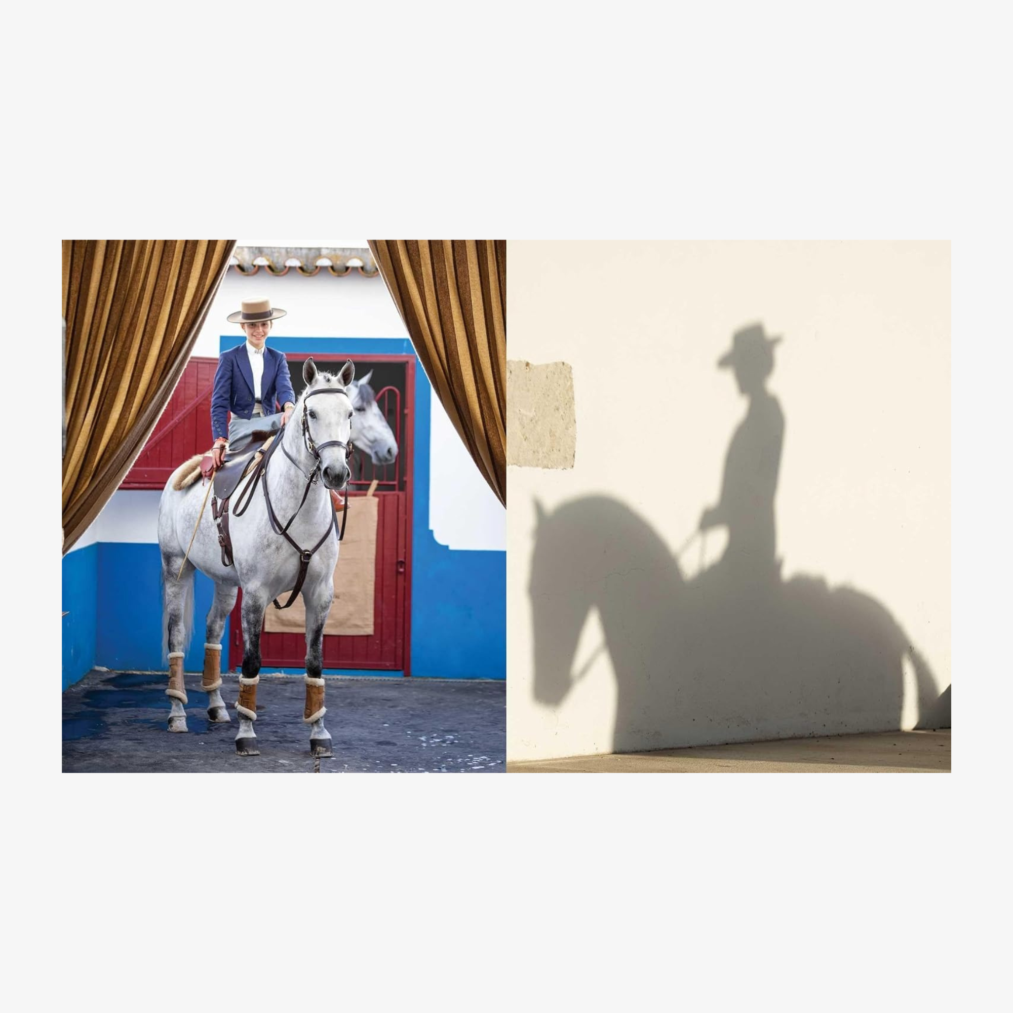 Horse Country, with a Foreword by India Hicks