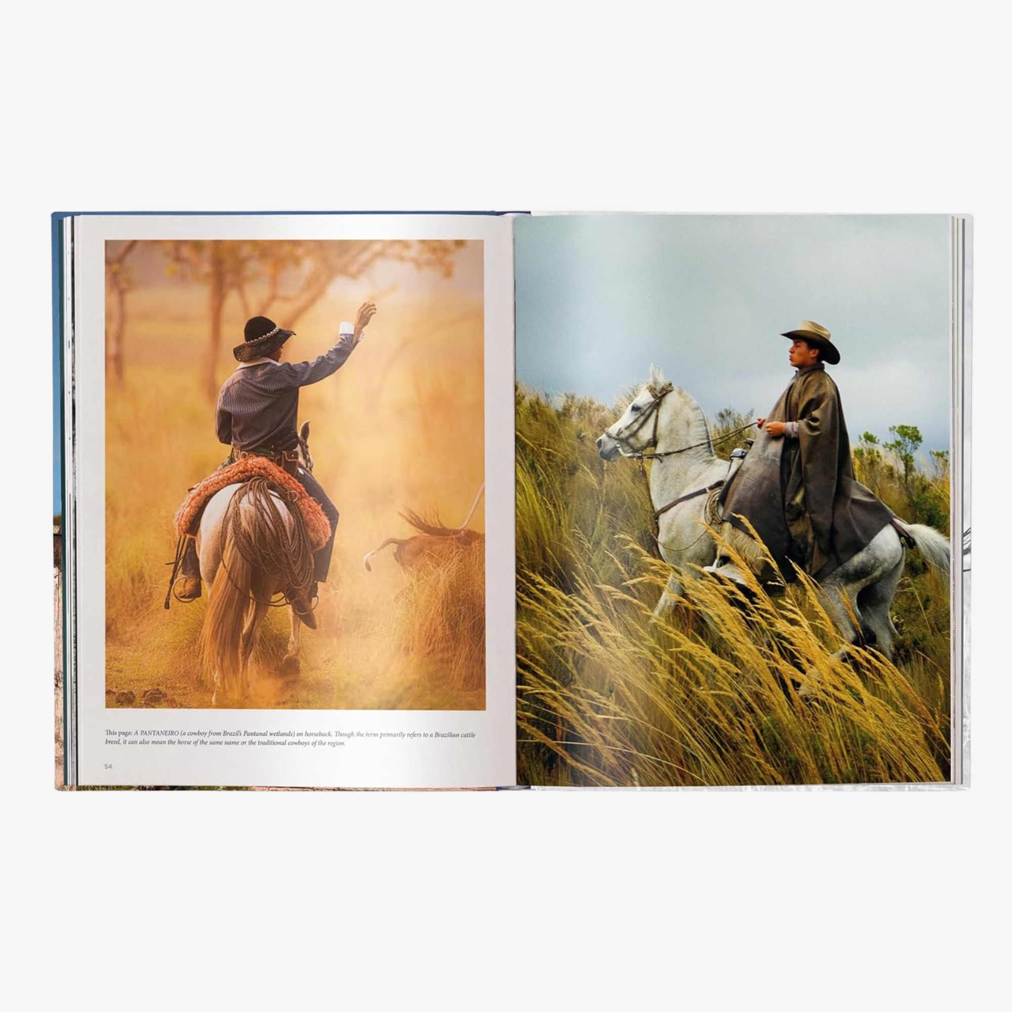 The Stylish Life: Cowboys