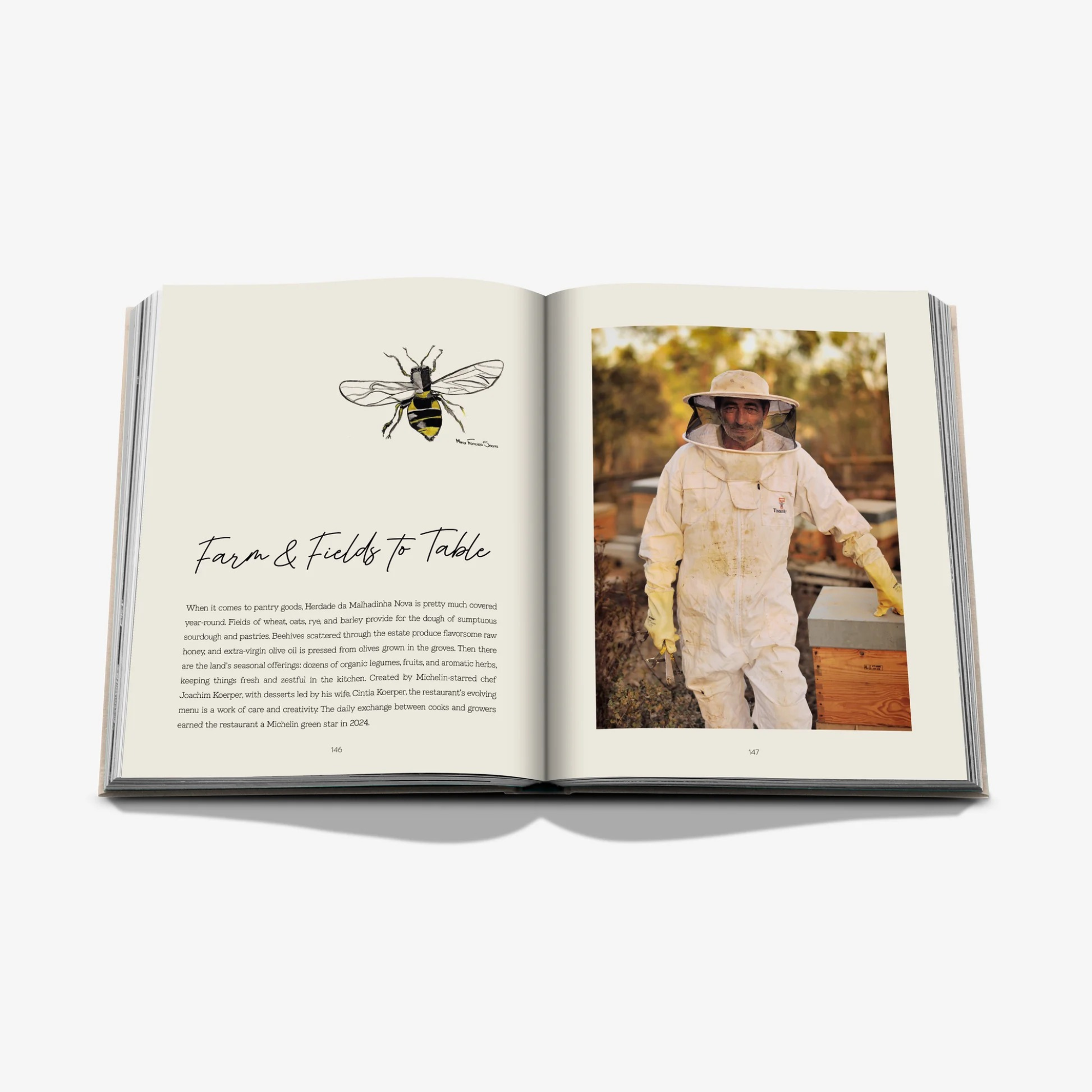 Malhadinha: The Soul of Alentejo