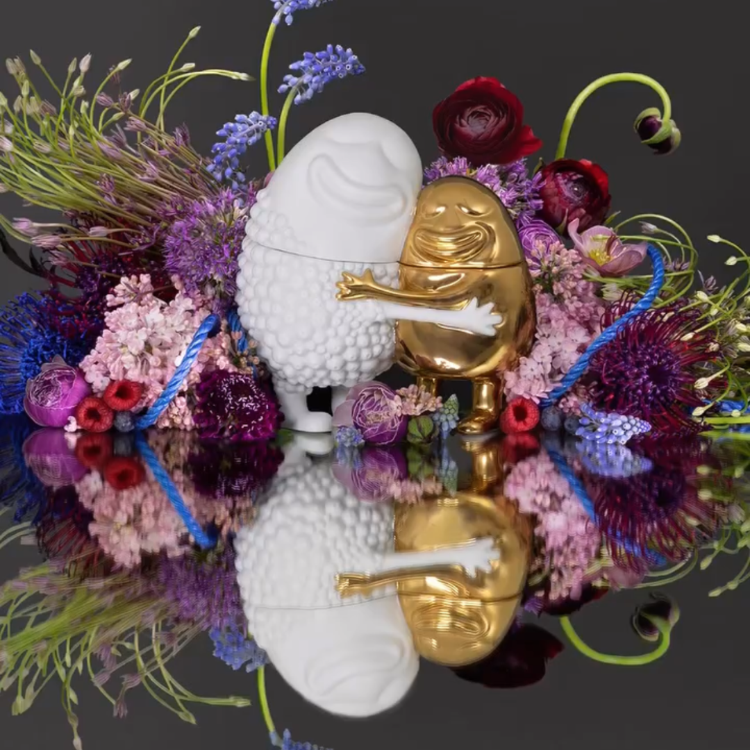 Haas Huggers Box - White