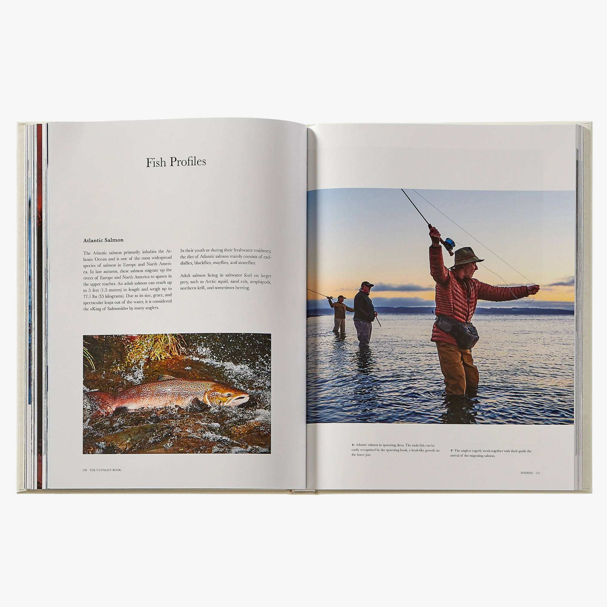 Fishing - The Ultimate Book