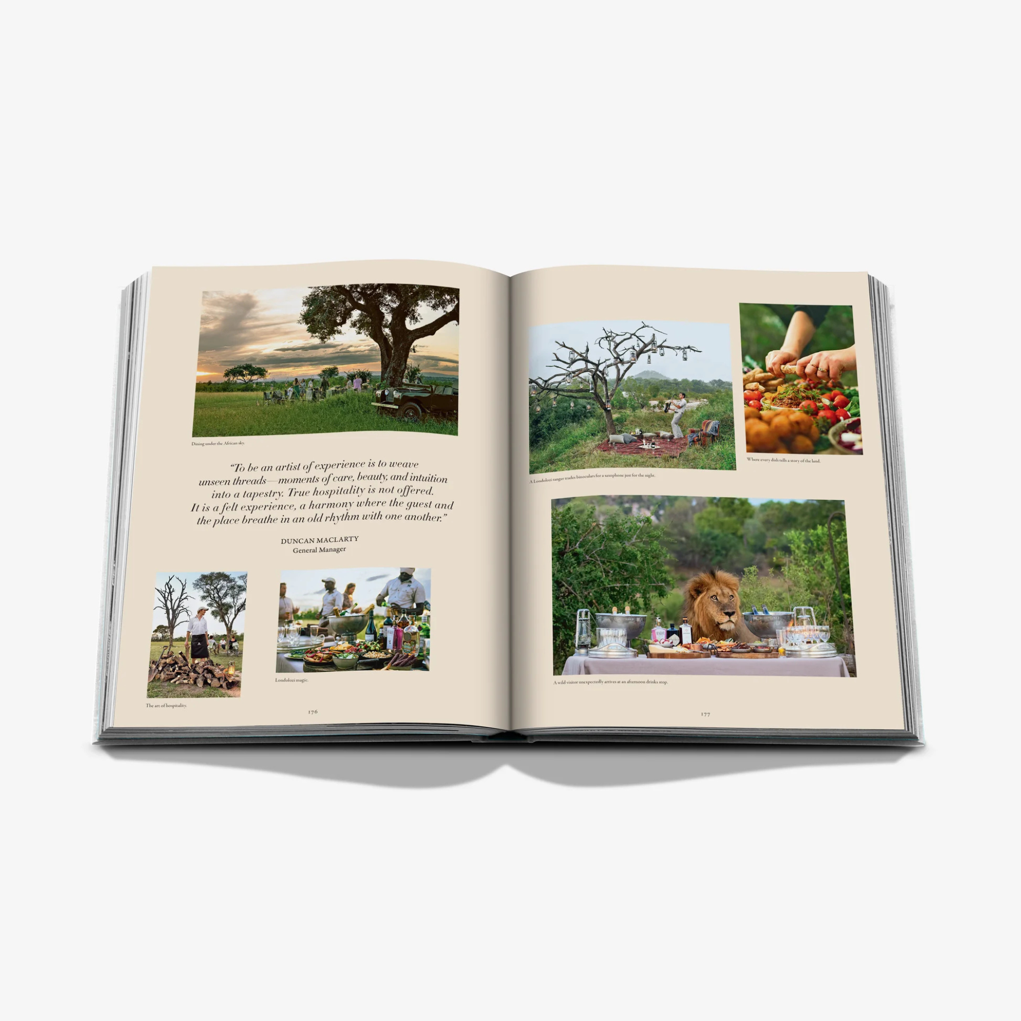 Londolozi: The Safari That Changed Everything