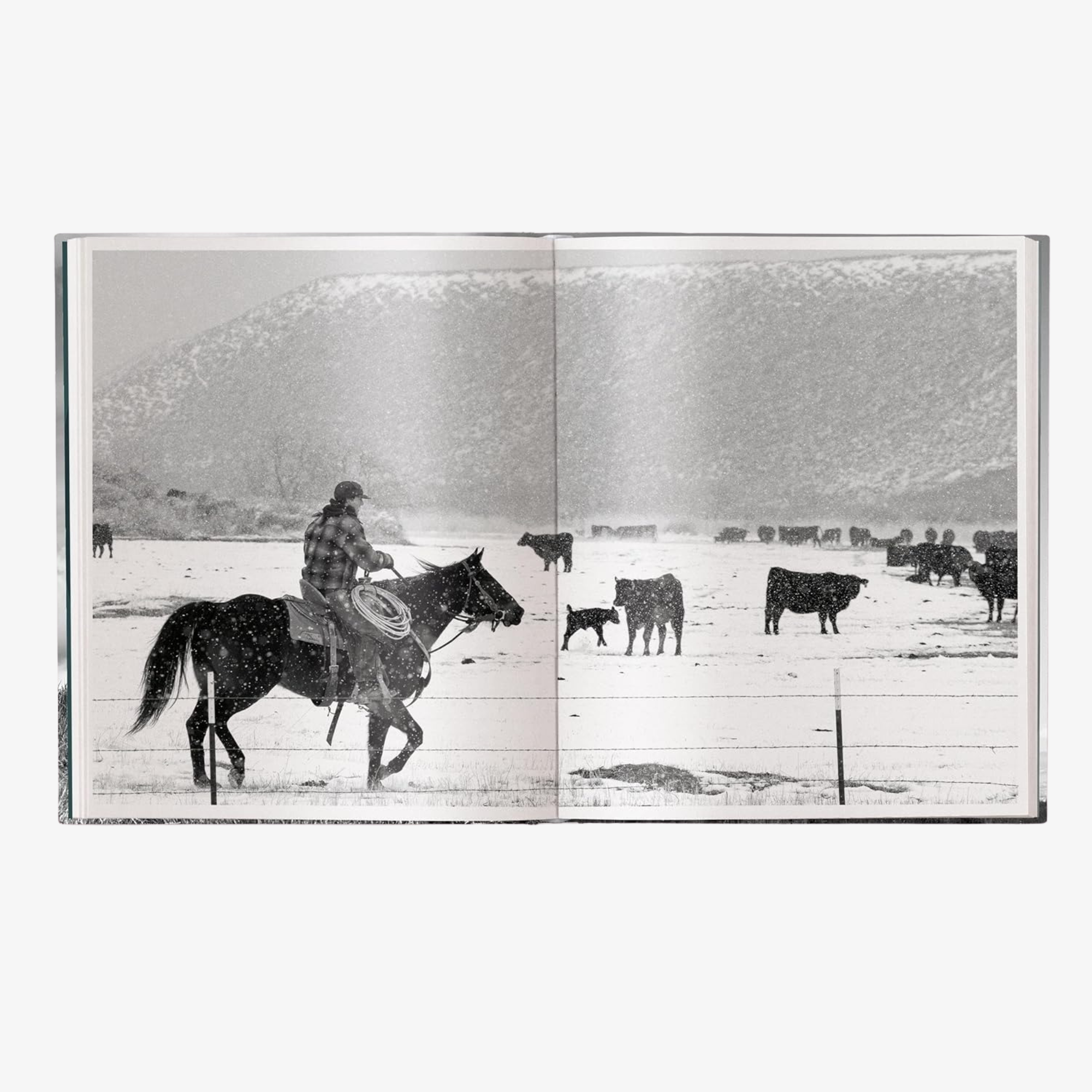 A Ranch Year: Cowboys of the West