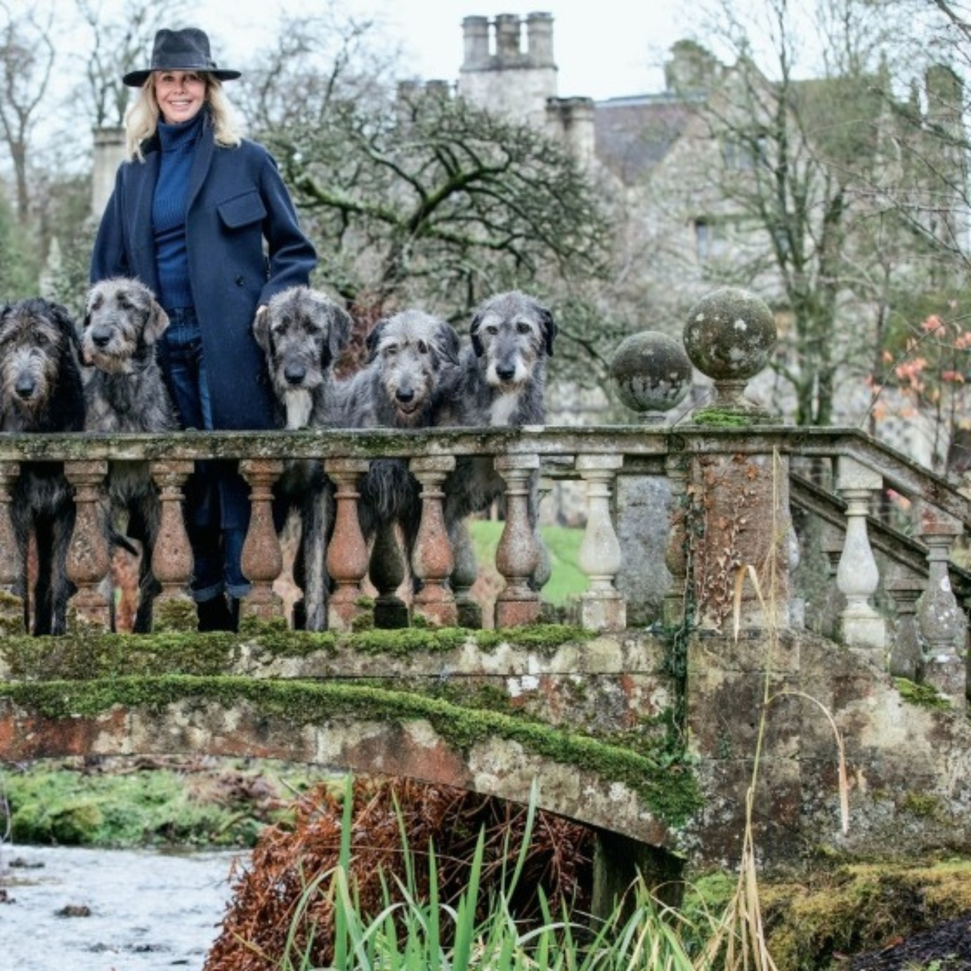 Country Life's Book of Dogs