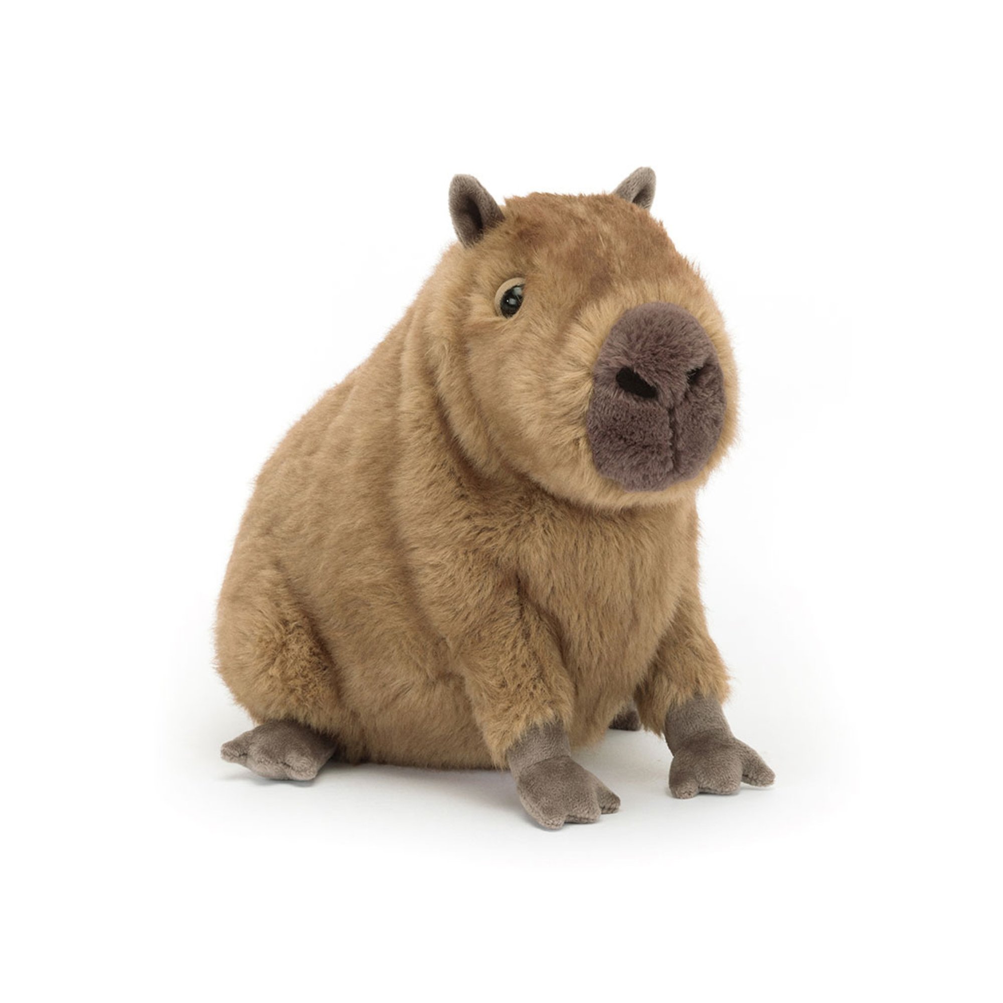 Clyde Capybara