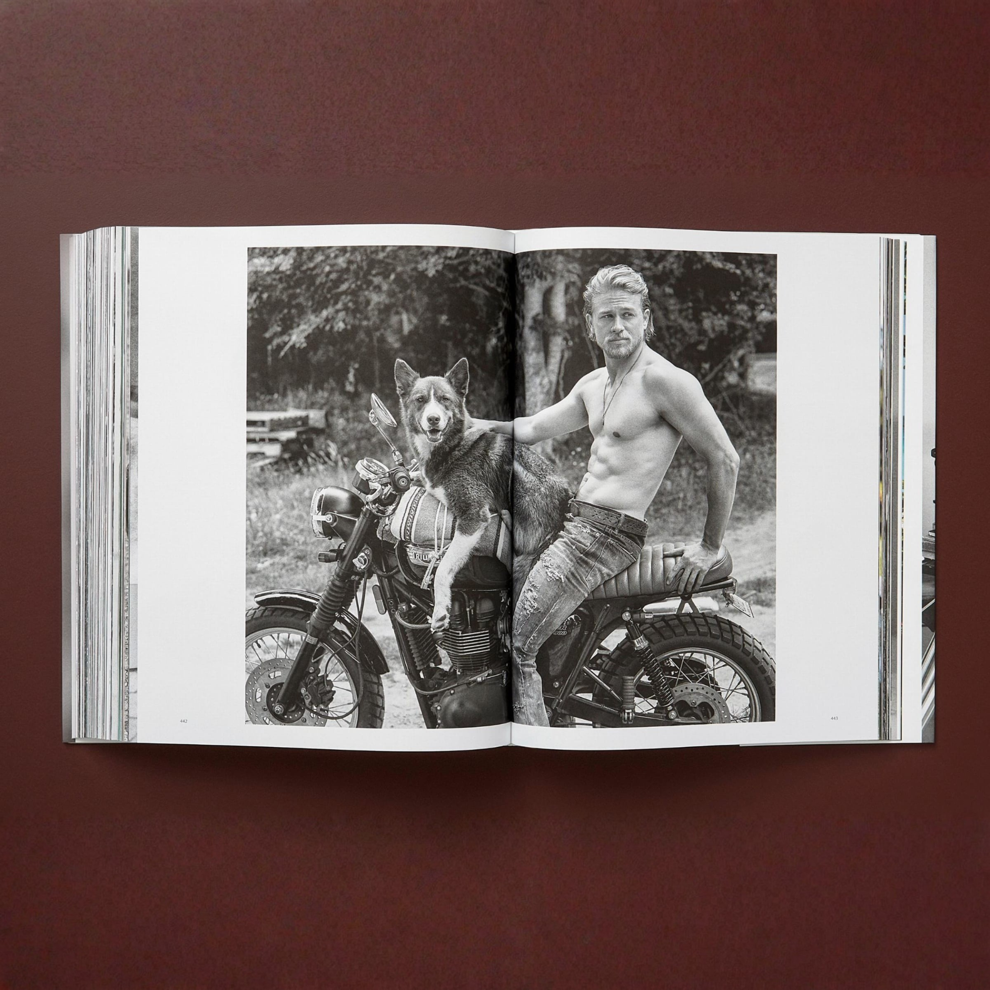 Bruce Weber: The Golden Retriever Photographic Society