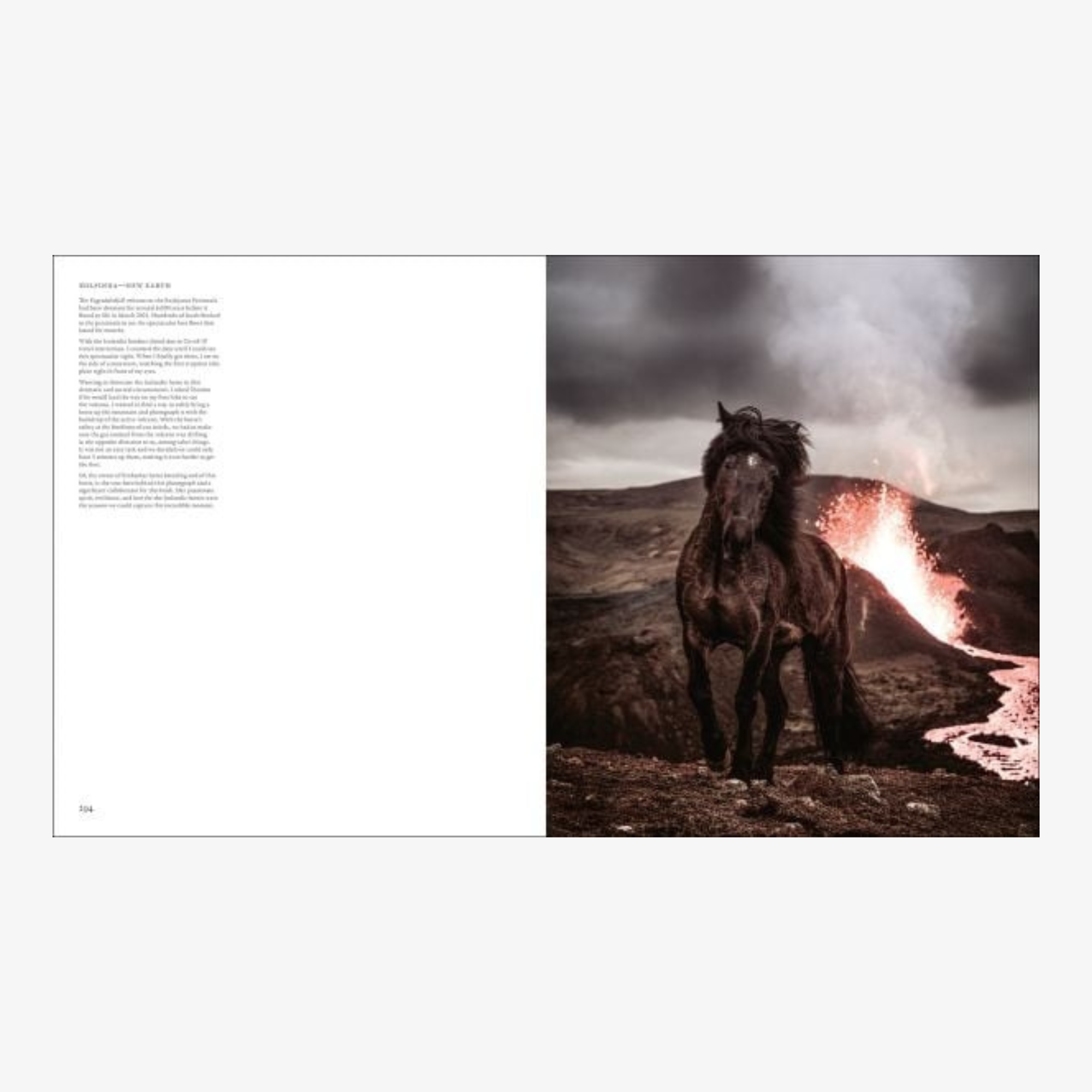 In The Land of Fire and Ice: Horses of Iceland