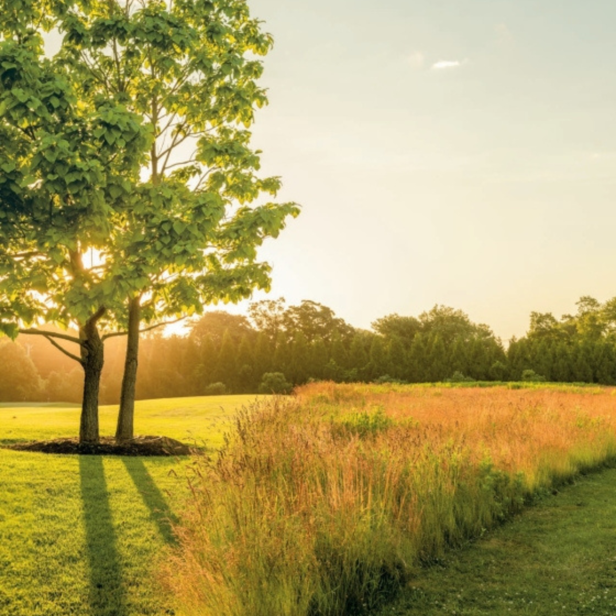 Landscape of Home: In the Country, By the Sea, In the City