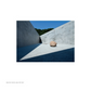 Tadao Ando: Spirit: Places for Meditation and Worship