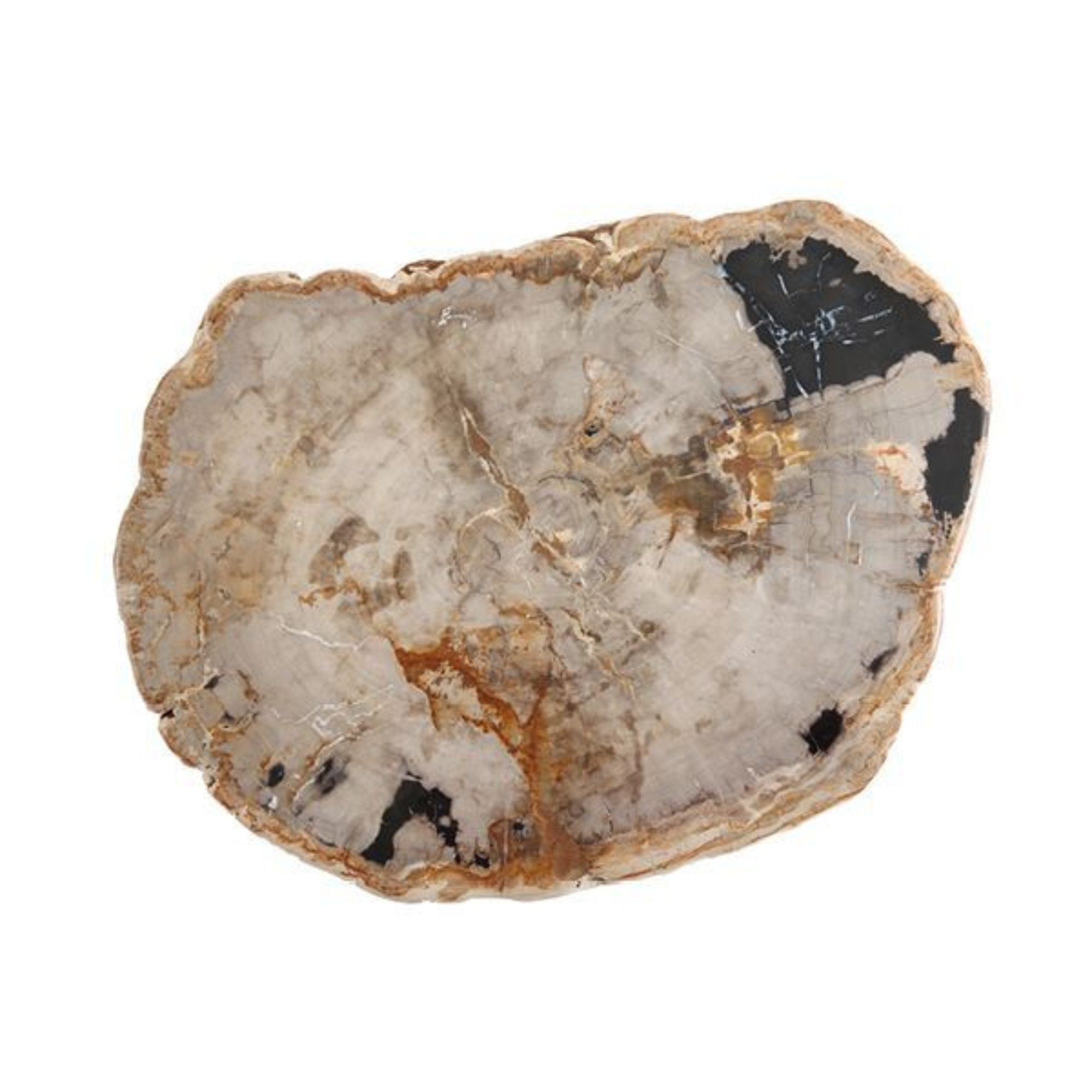 Serveware Petrified Wood Platter