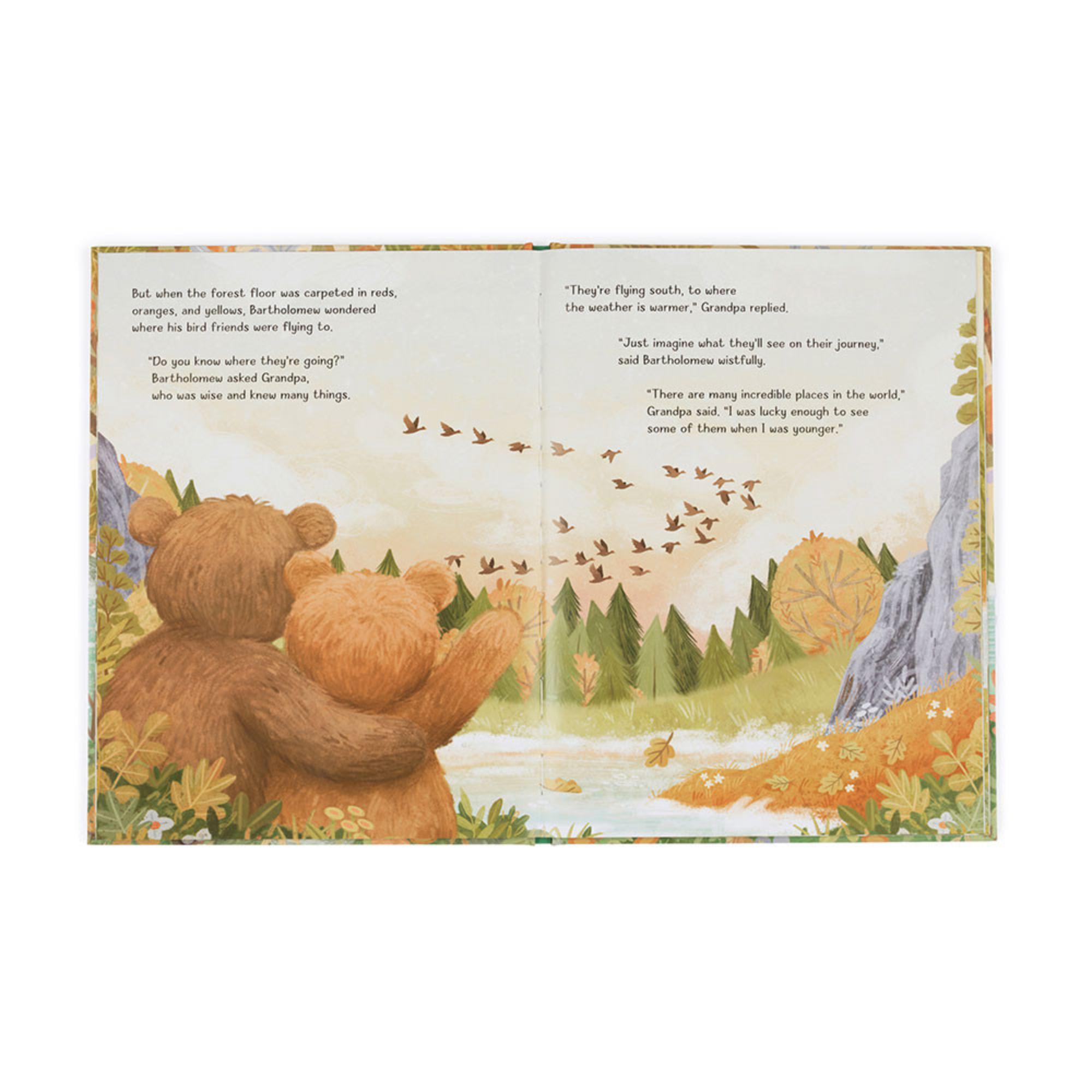 Bartholomew Bear with Big World Book