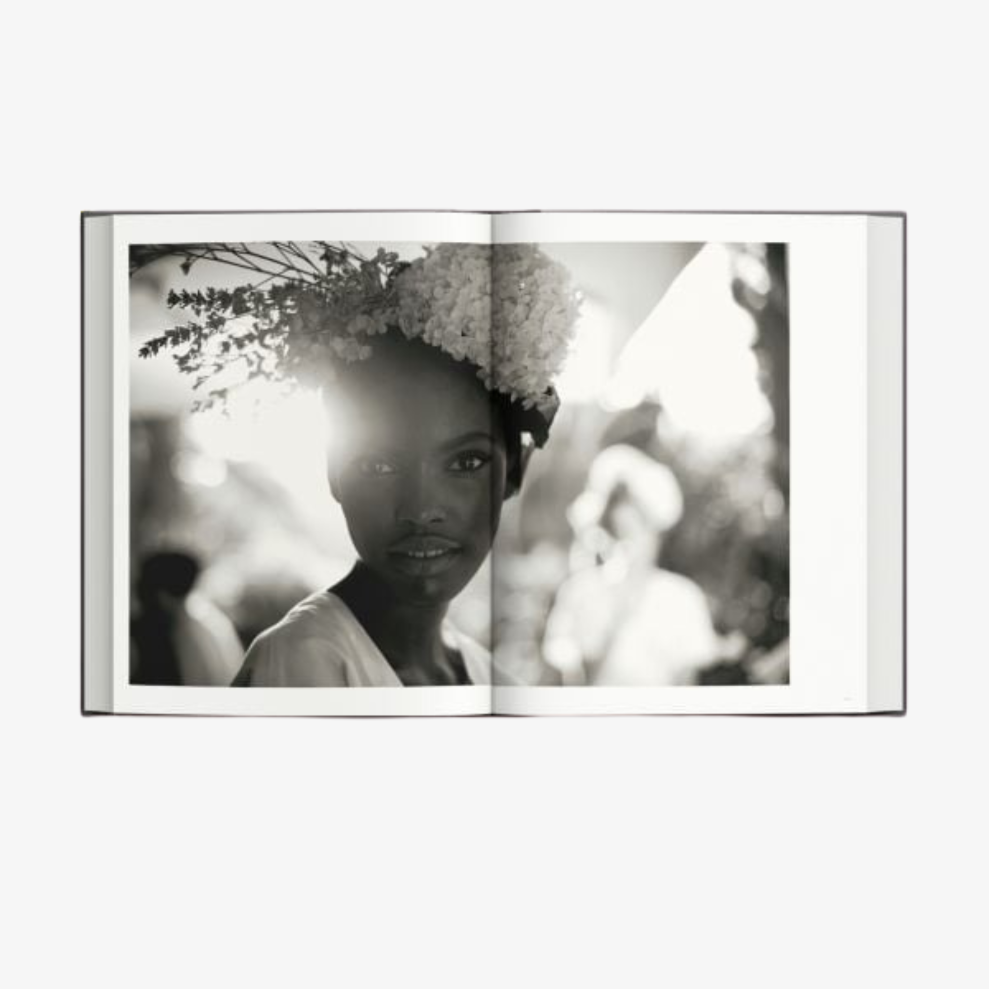 La Dolce Vita: Inside the World of Dolce & Gabbana’s Alta Moda Fashion Shows