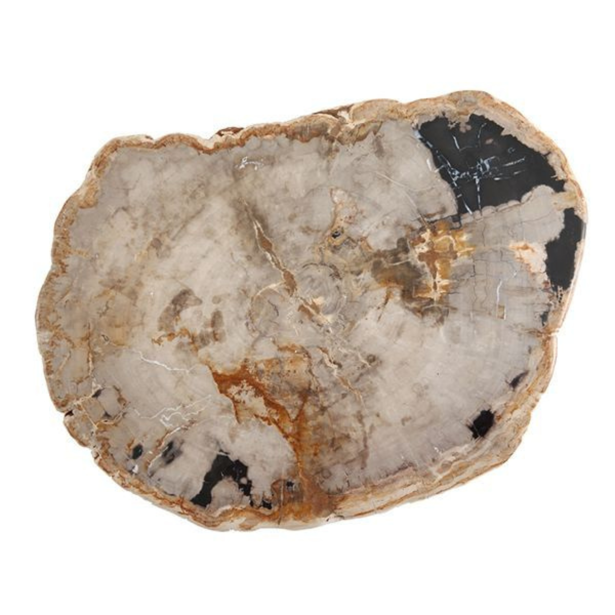 Serveware Petrified Wood Platter