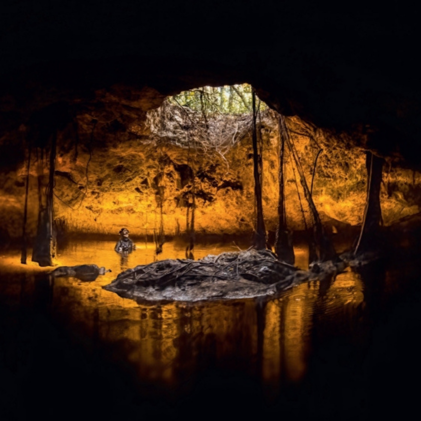 Light in the Underworld: Diving the Mexican Cenotes