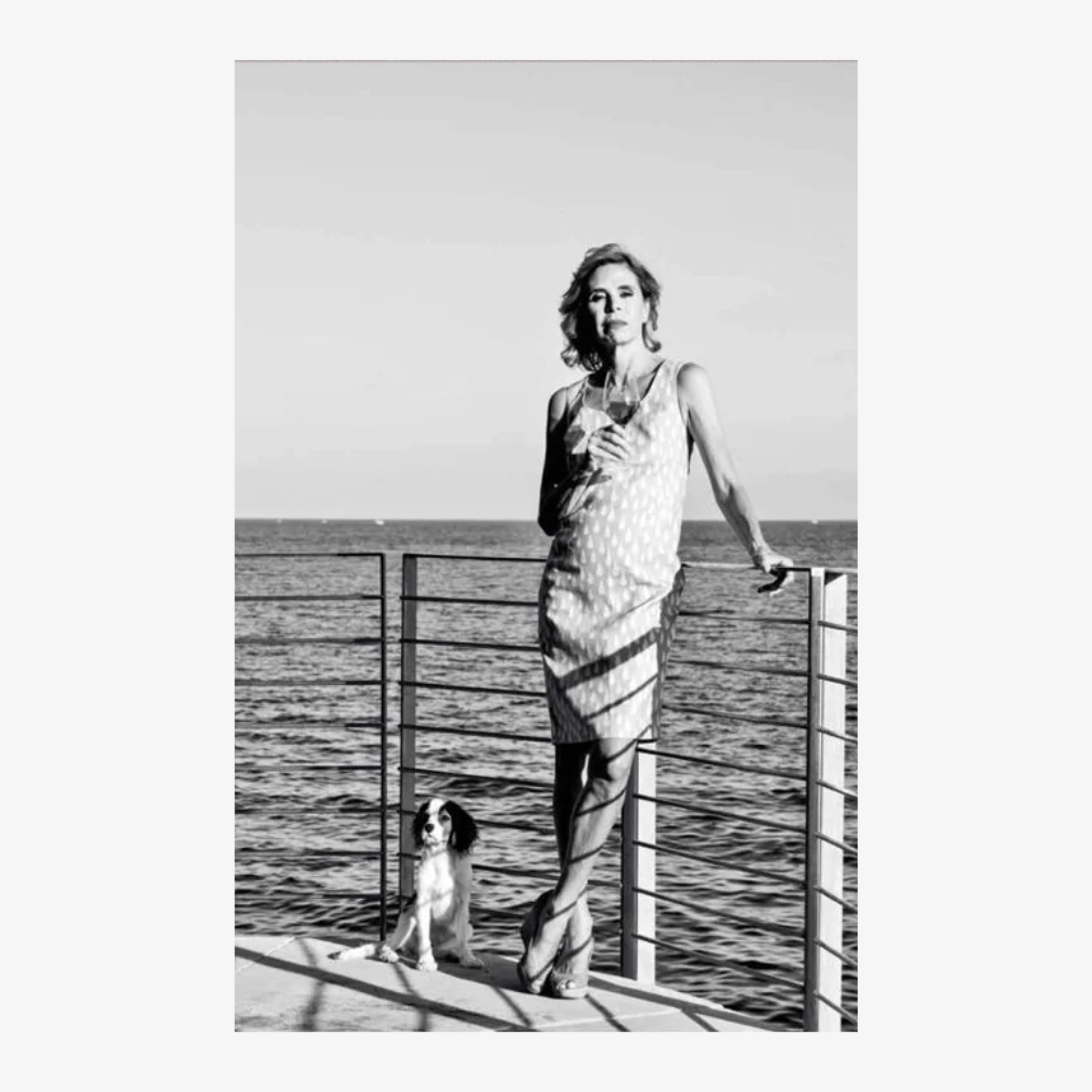 The Stars’ Share/La Part Des Étoiles