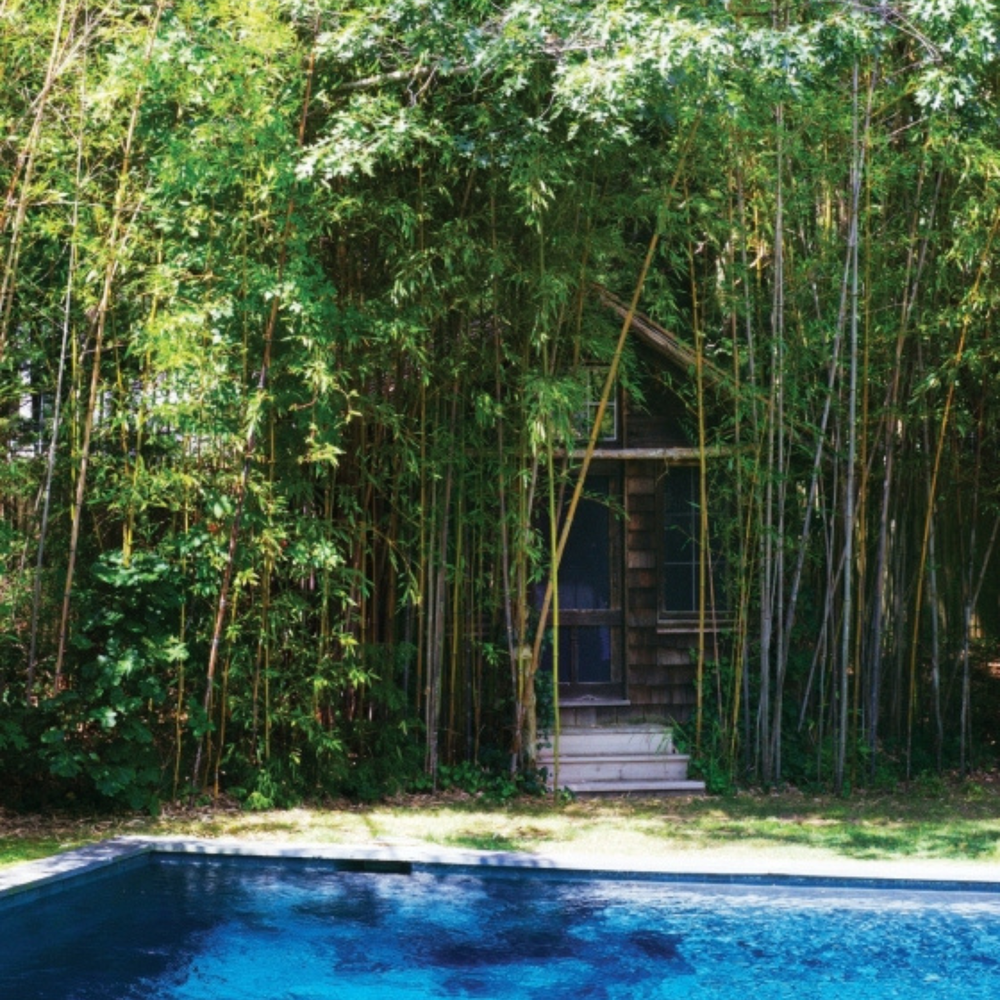 AD at Home: Architectural Digest