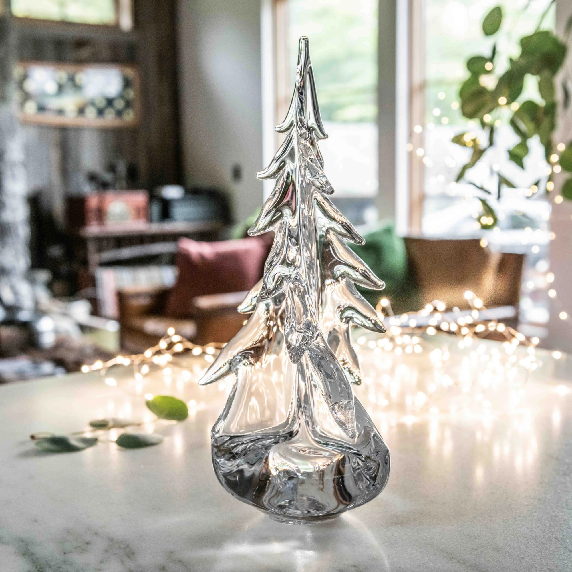 Vermont Twist Evergreen Tree