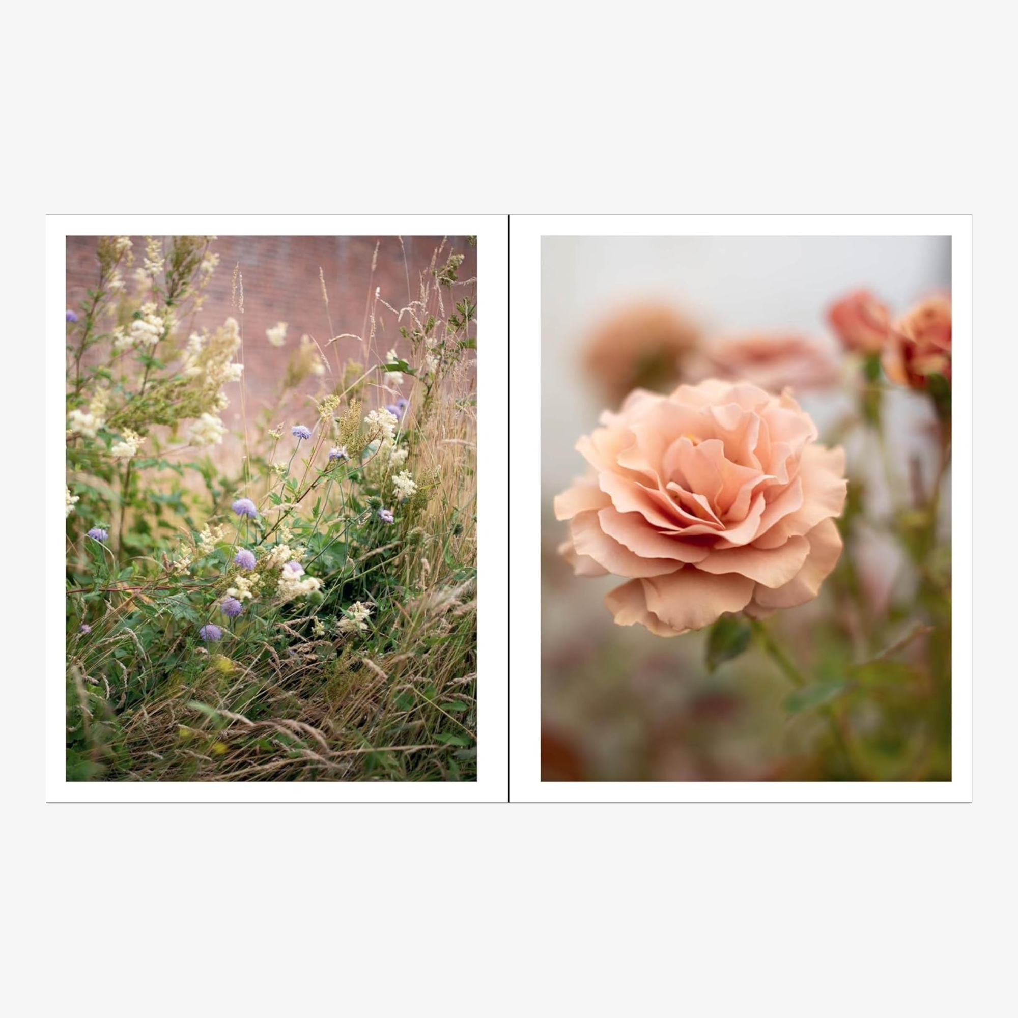 Naturalistic Flowers: A Year of Plants, Places, and People