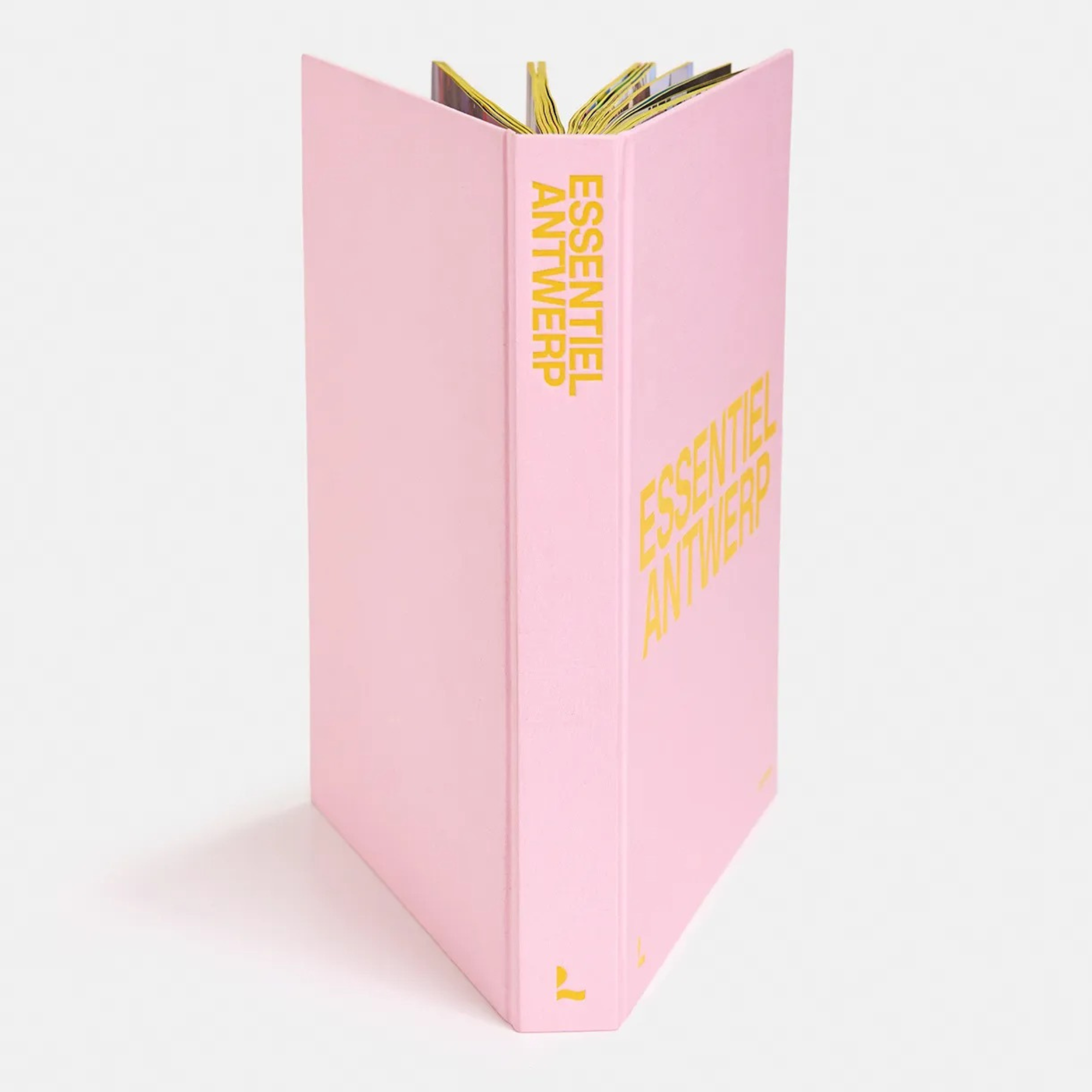 Essential Antwerp: 25 Years with Gold Tone Pin Paperweight