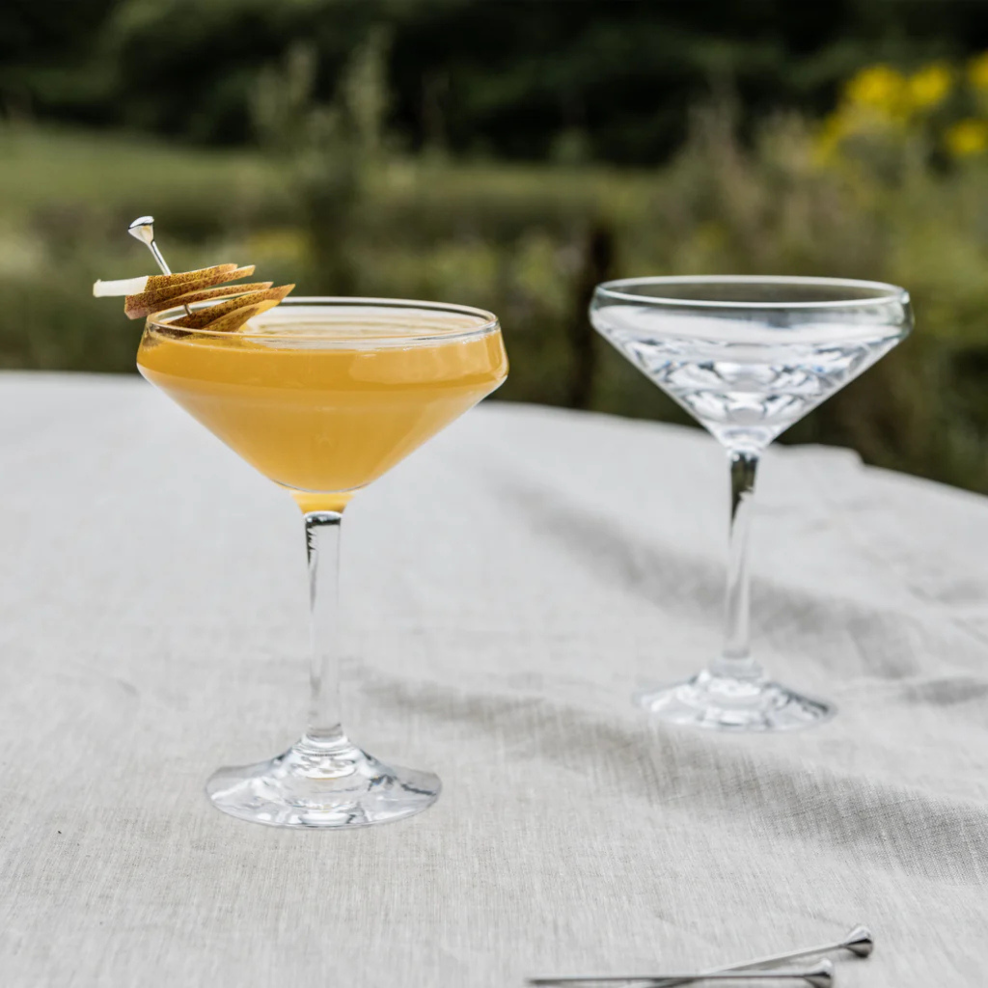 Vintner Coupe Glass - Set of 2