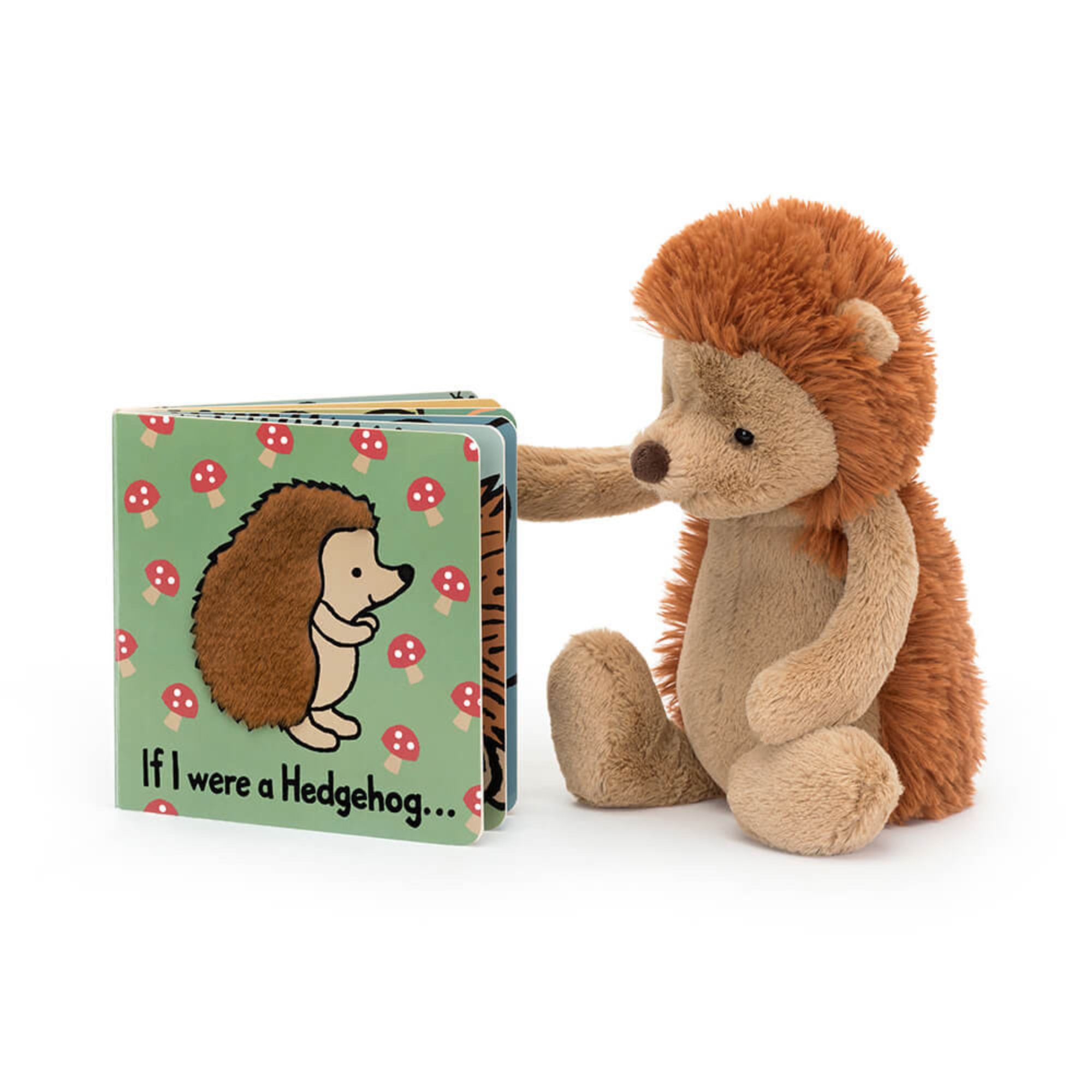 Bashful Hedgehog & If I Were A Hedgehog Book