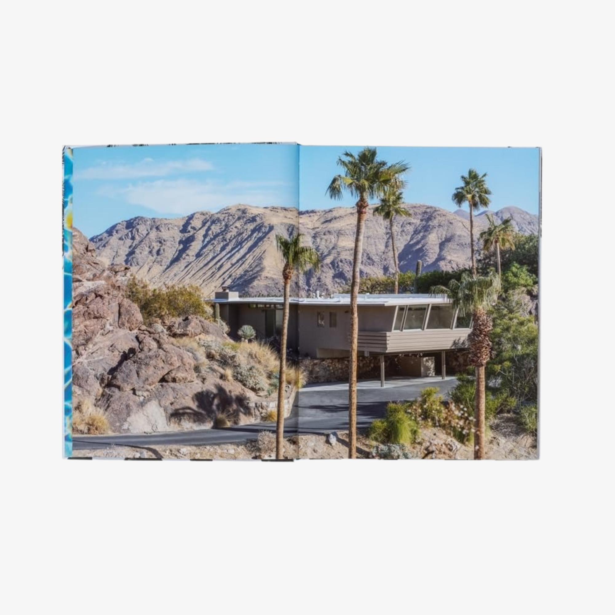 Inside Palm Springs: A Exclusive Glimpse Into 22 Homes