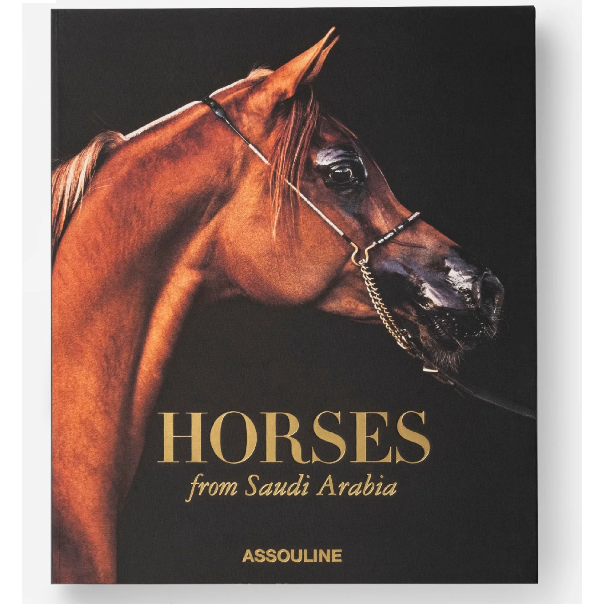 Horses from Saudi Arabia: Kingdom of Saudi Arabia Series