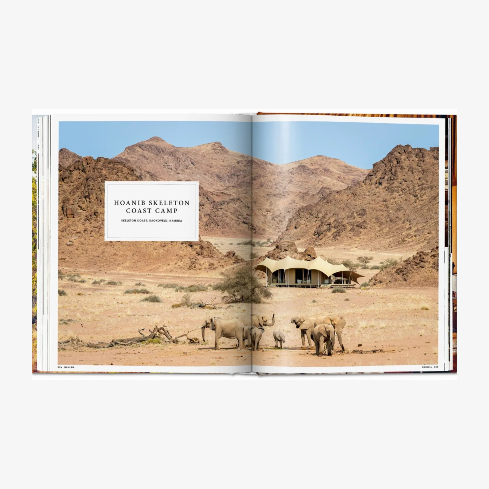 Great Escapes Africa: The Hotel Book