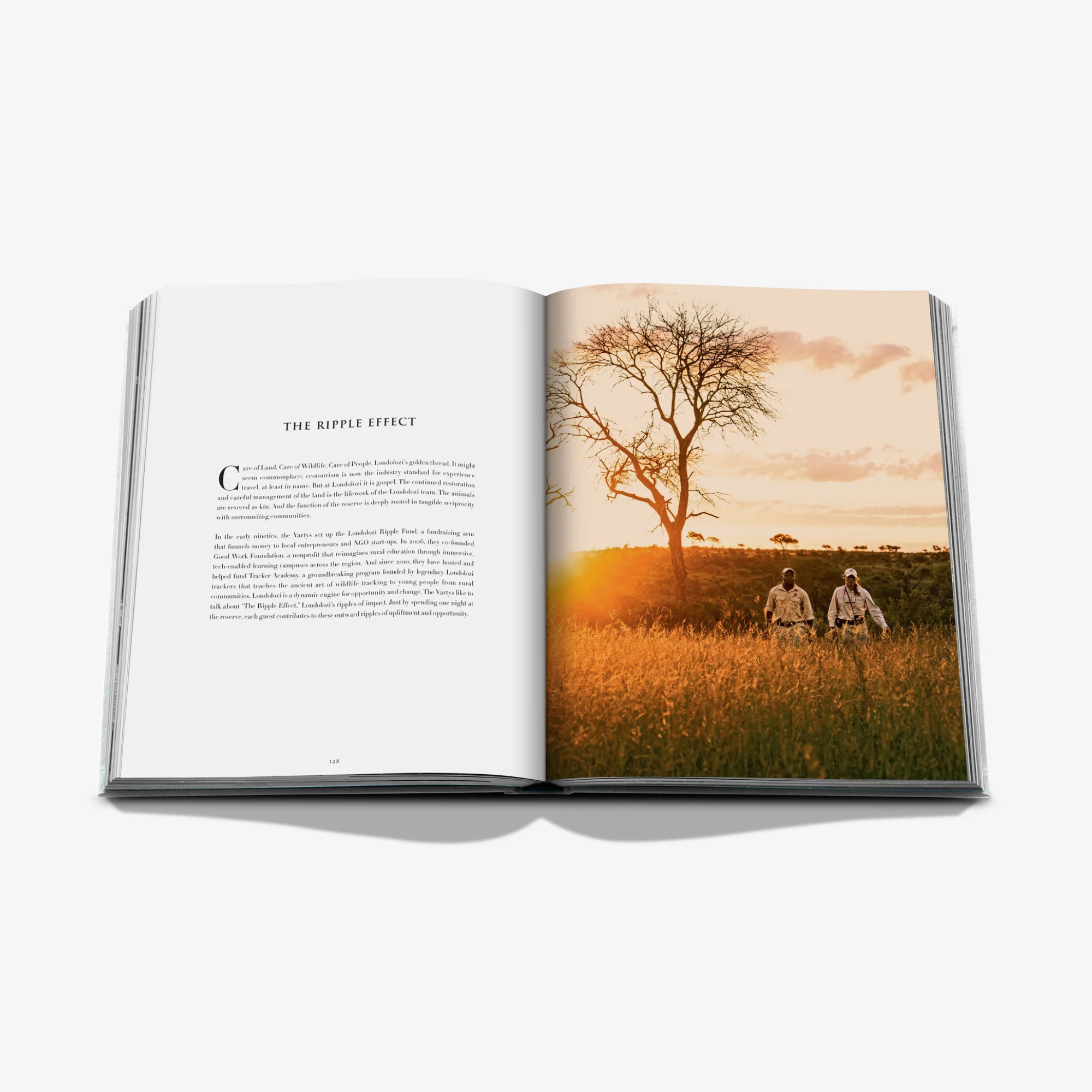 Londolozi: The Safari That Changed Everything