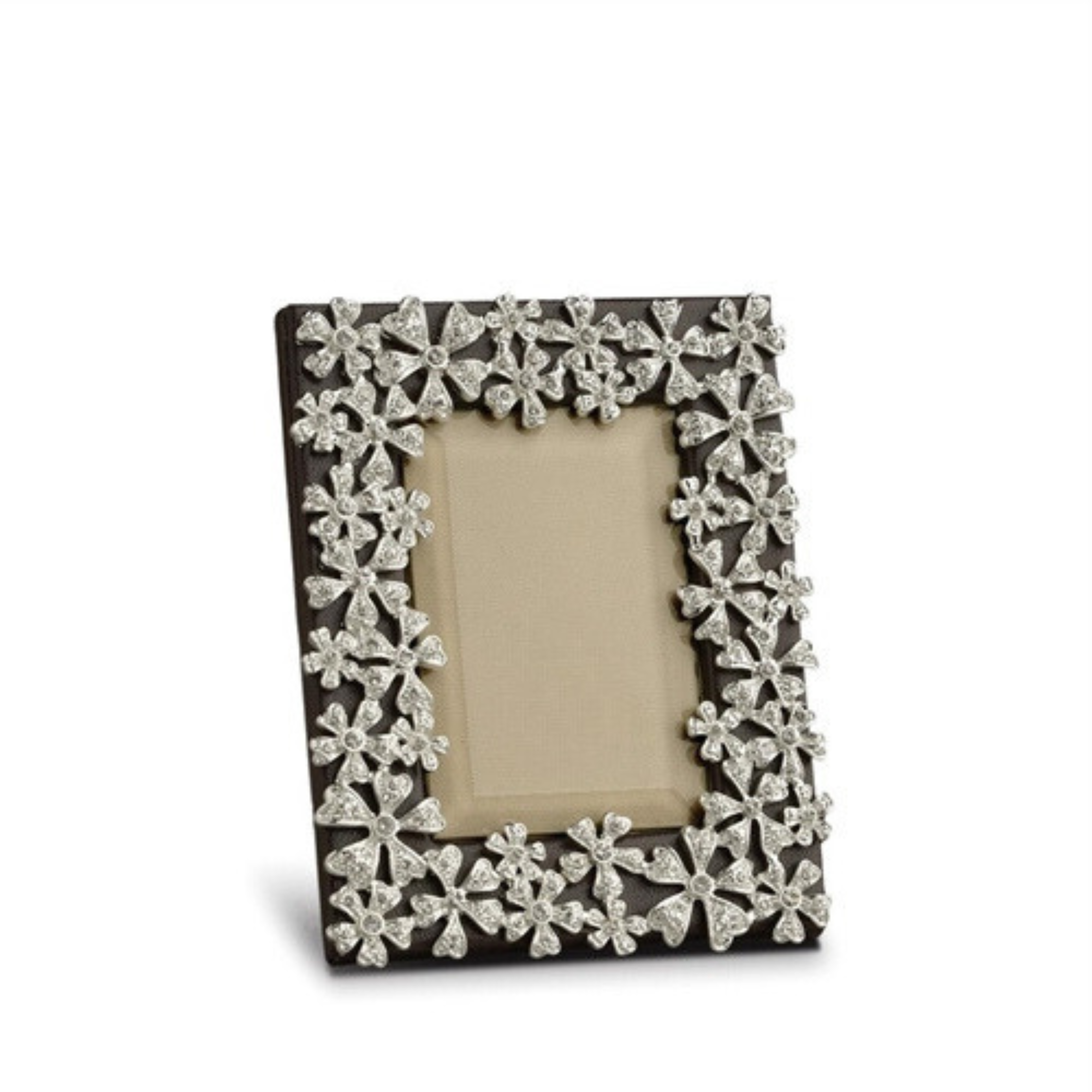 Platinum Garland Frame