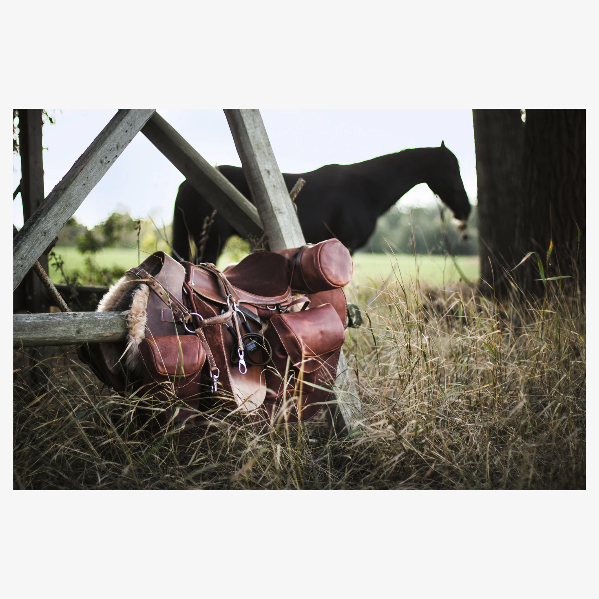 Equestrian - The Ultimate Book