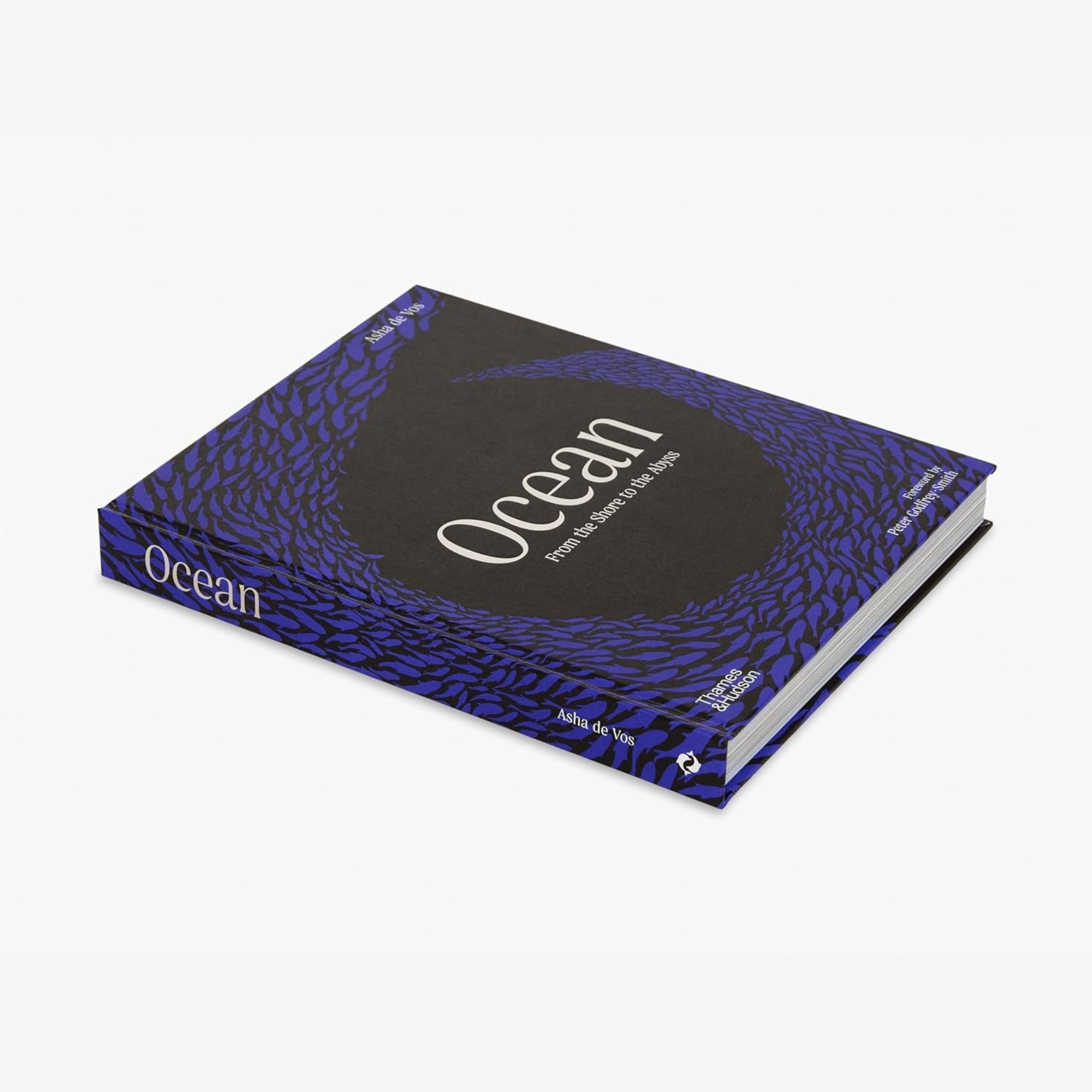 Ocean: From the Shore to the Abyss