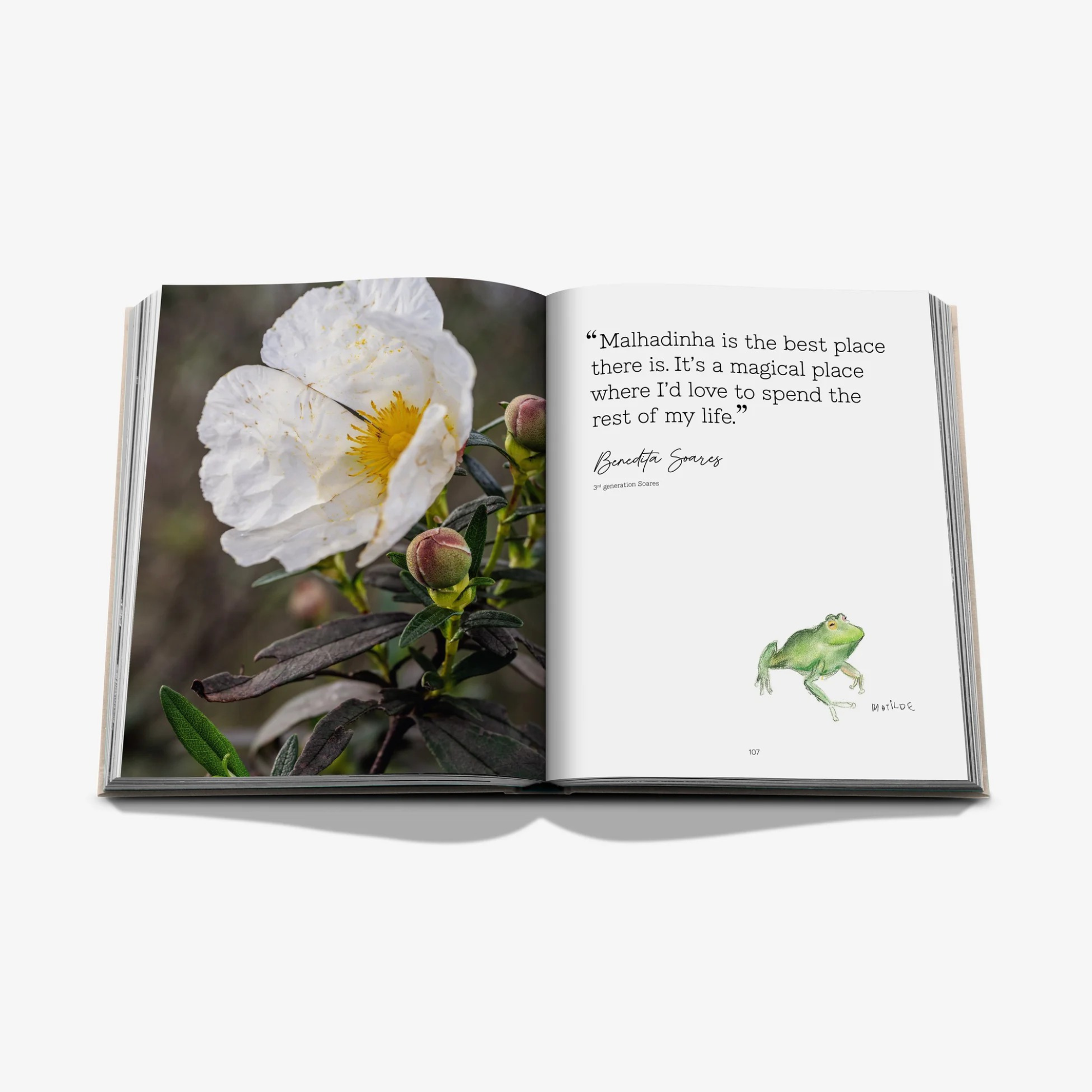 Malhadinha: The Soul of Alentejo