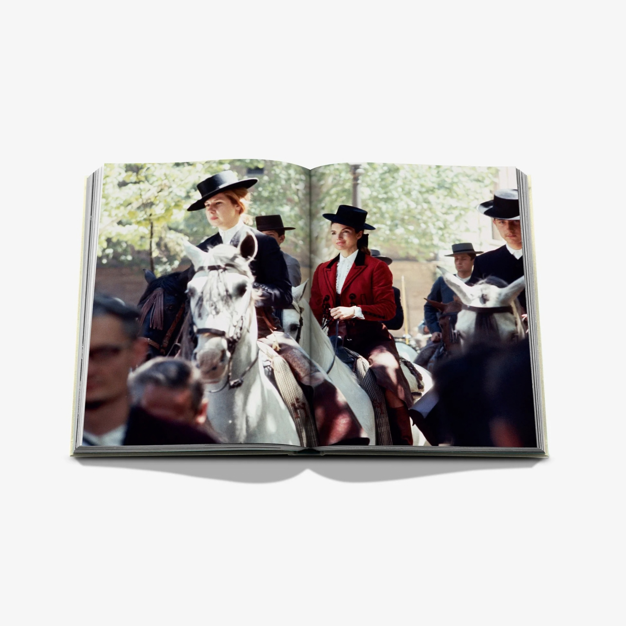 Cayetana, The Dutchess of Alba Art: Aristocracy, and the Soul of Spain