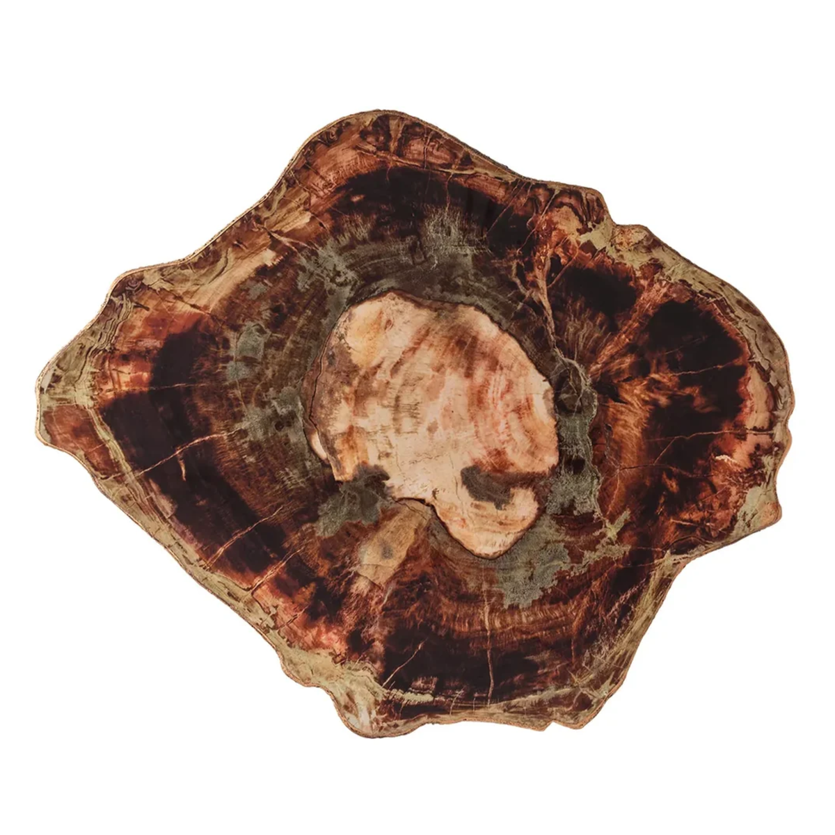 Fossil Placemats in Brown - Set of 4