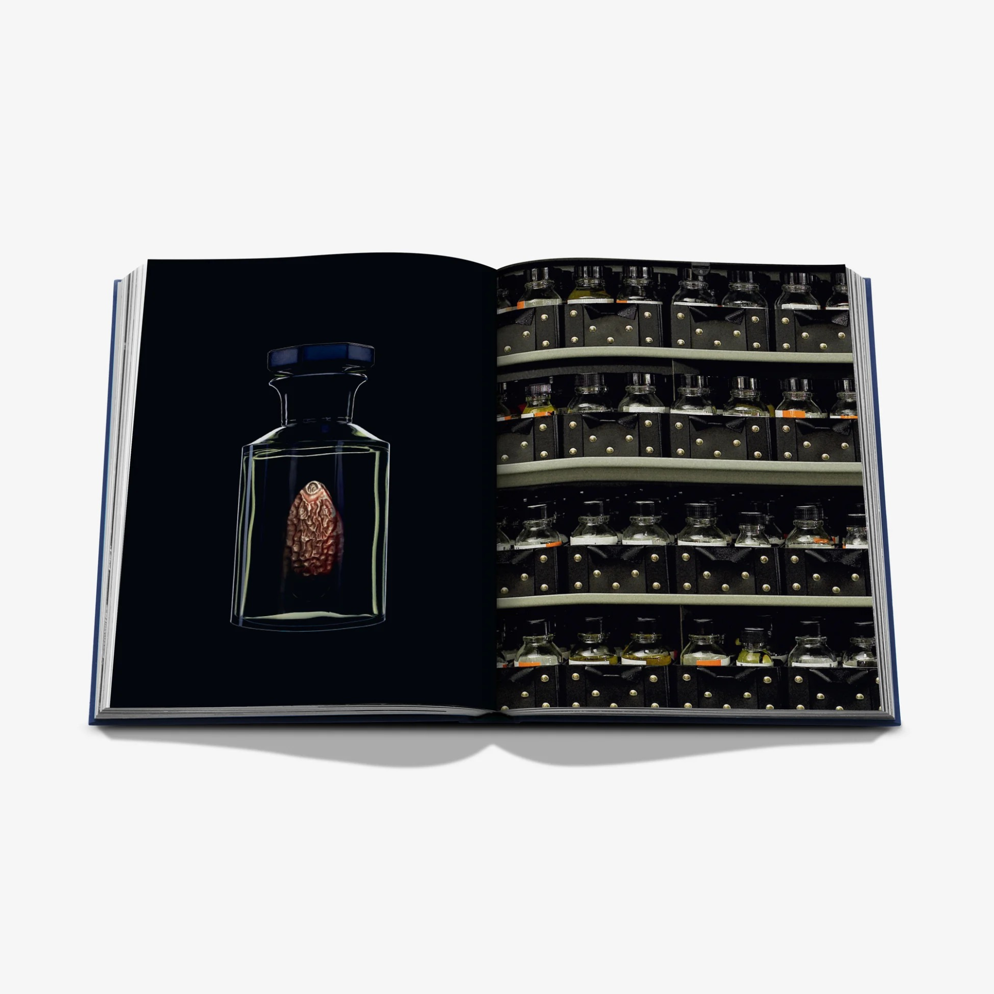 Robertet: From Seed to Scent