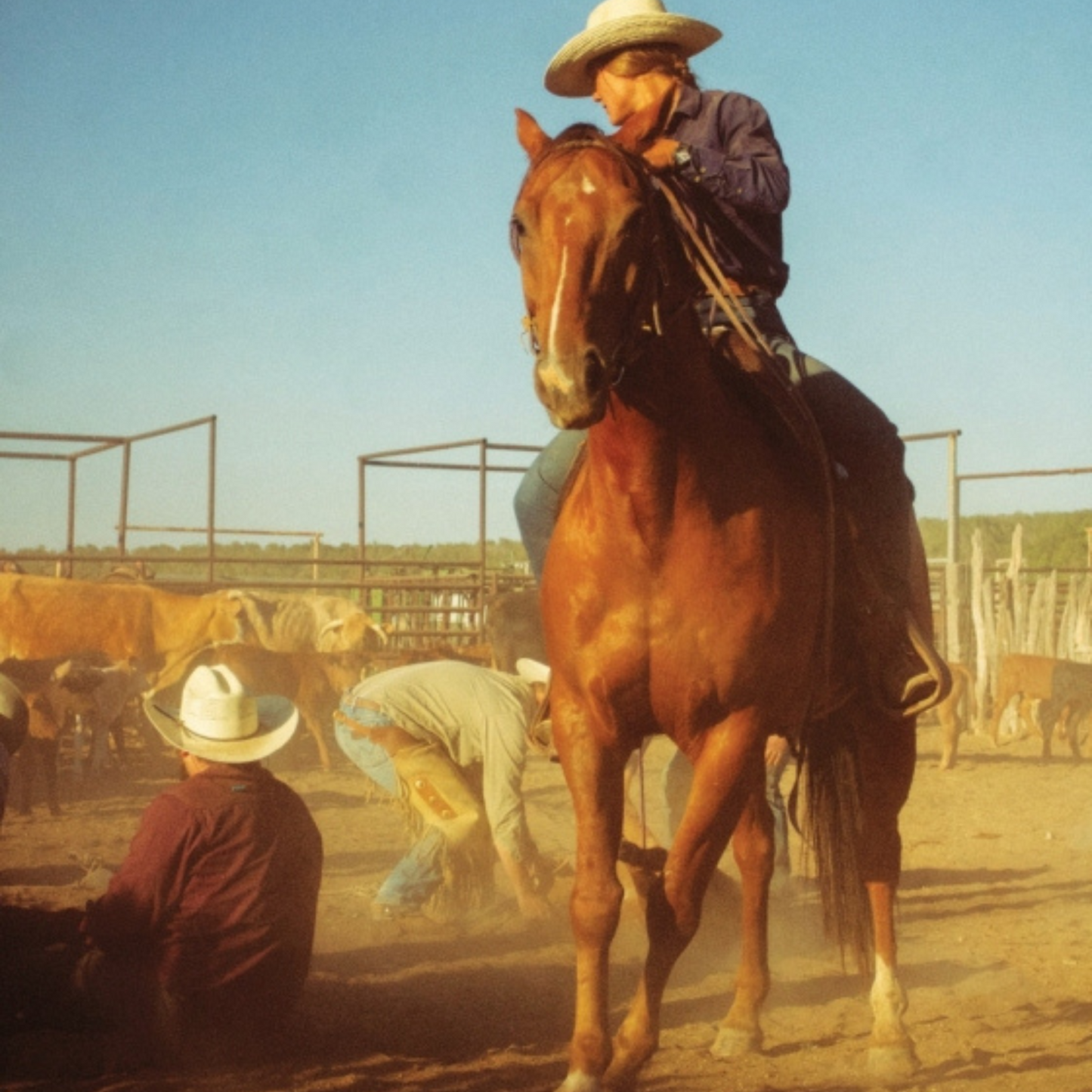 Ranchlands: By the Land, For the Land