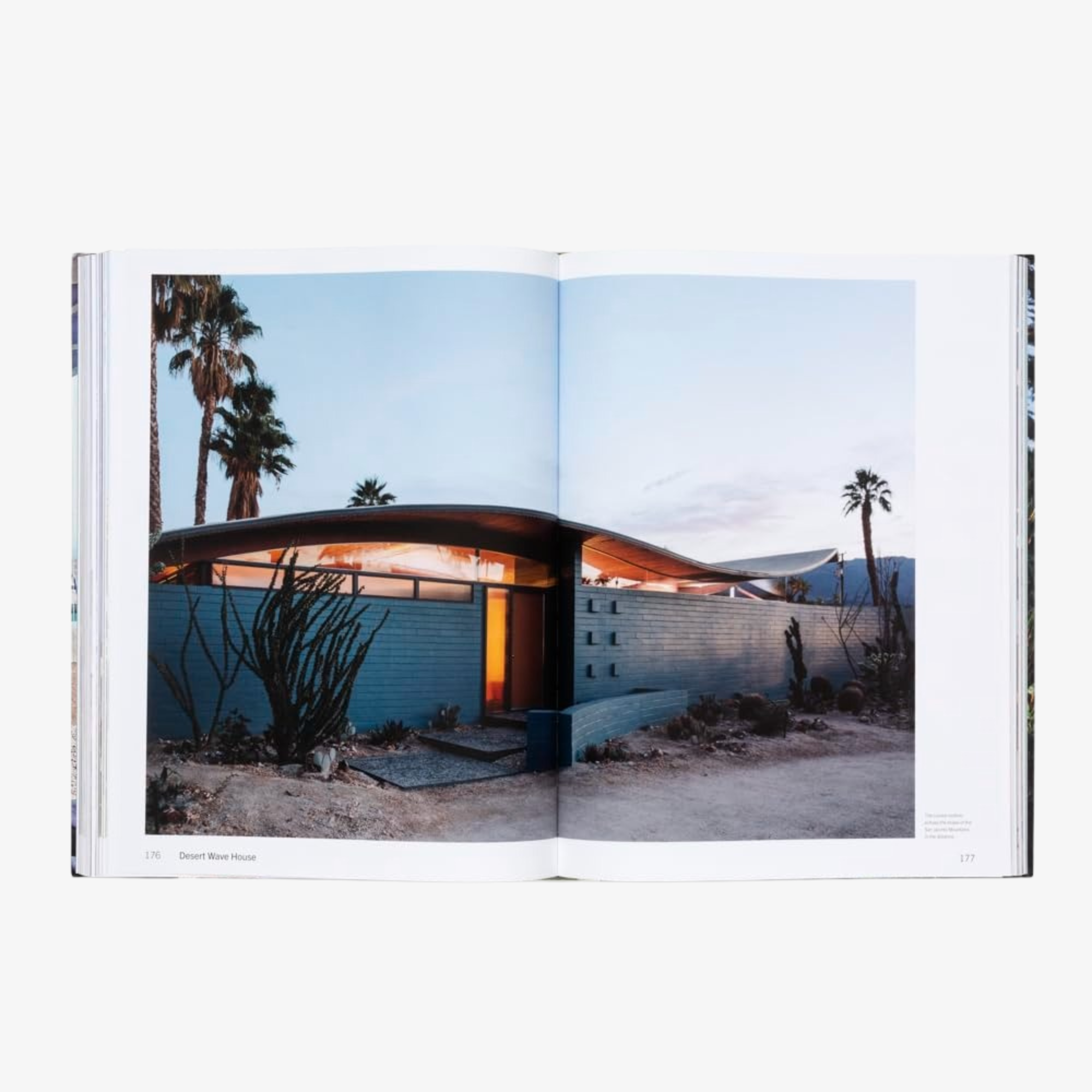 American Icons: The Architecture of the United States: Visions and Defiance