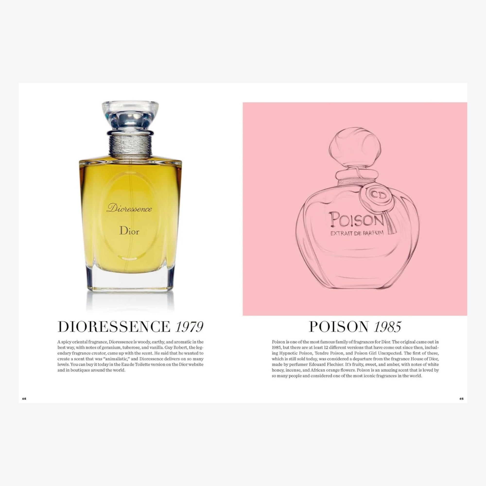 Essence of Dior