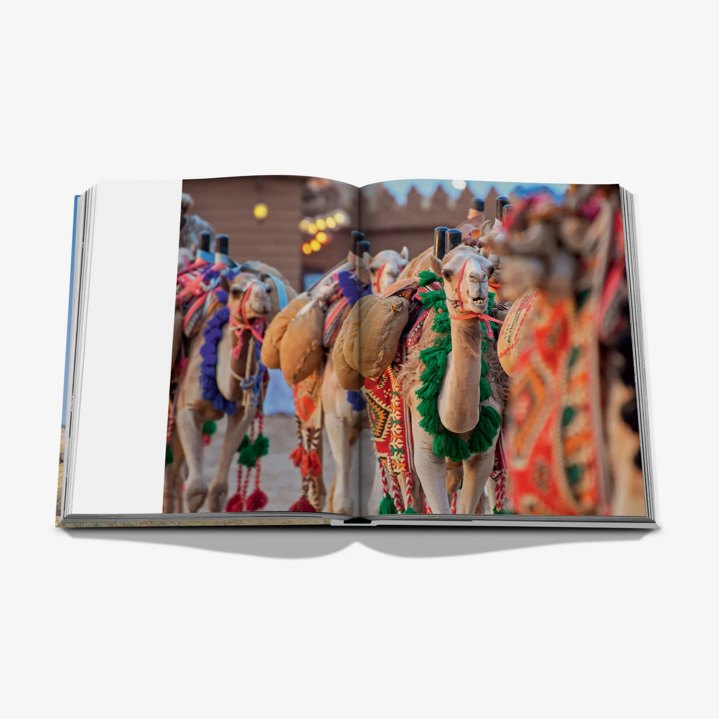 Camels from Saudi Arabia: Kingdom of Saudi Arabia Series, Classic Edition