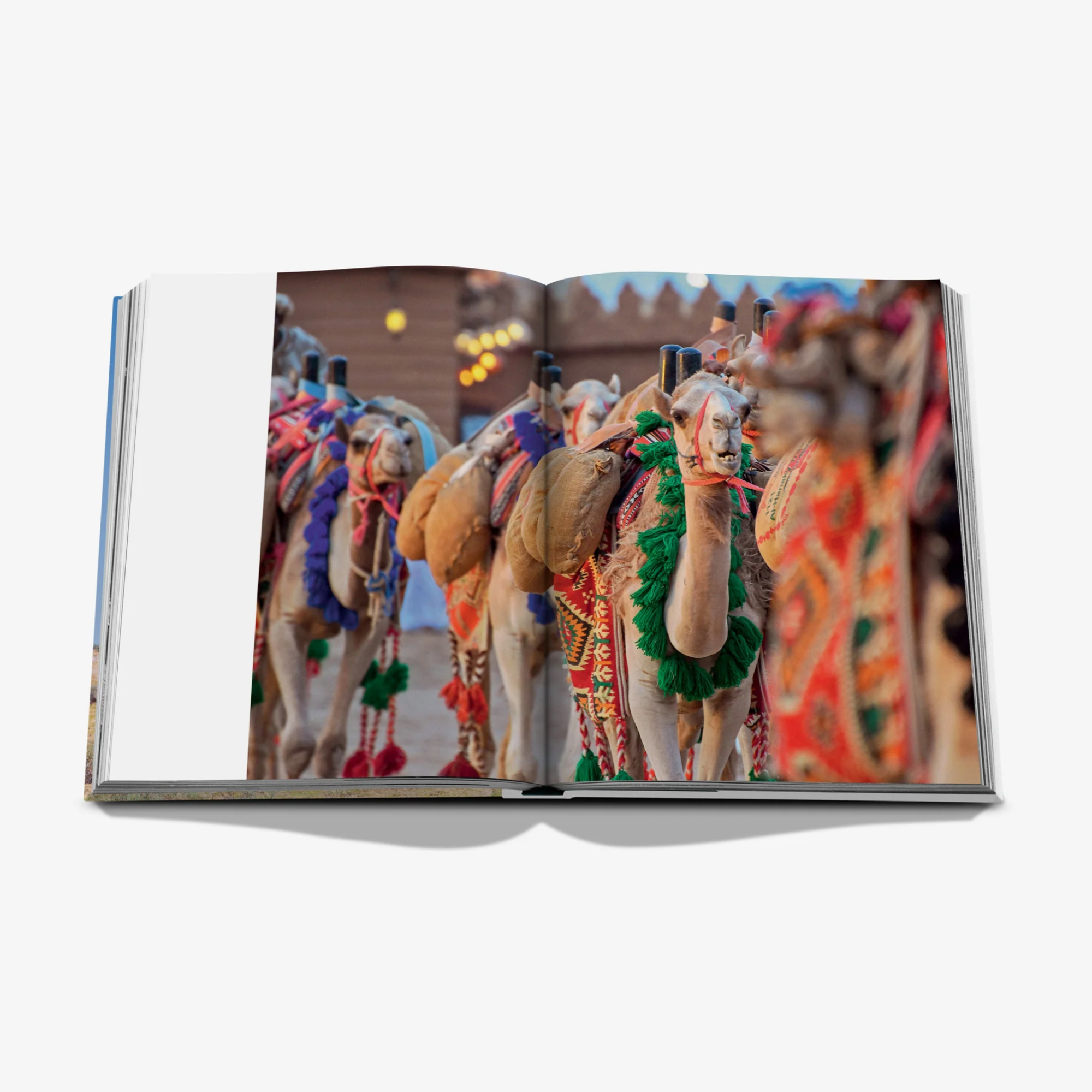 Camels from Saudi Arabia: Kingdom of Saudi Arabia Series, Classic Edition