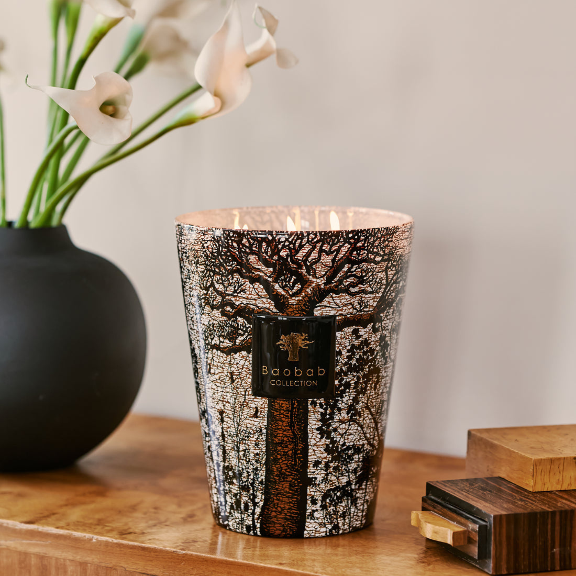 Sacred Trees Morondo Candle