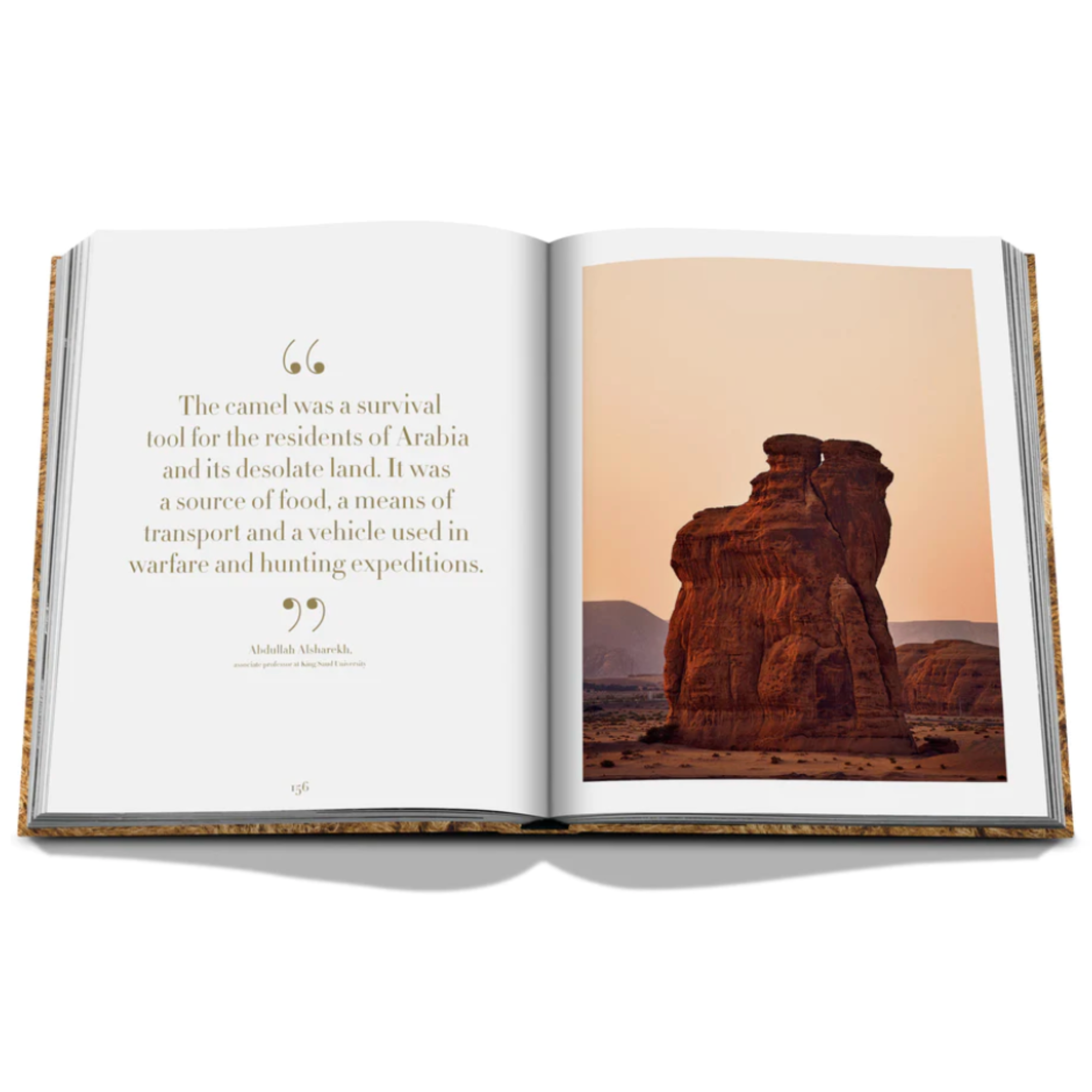 Camels from Saudi Arabia: Kingdom of Saudi Arabia Series, Ultimate Edition