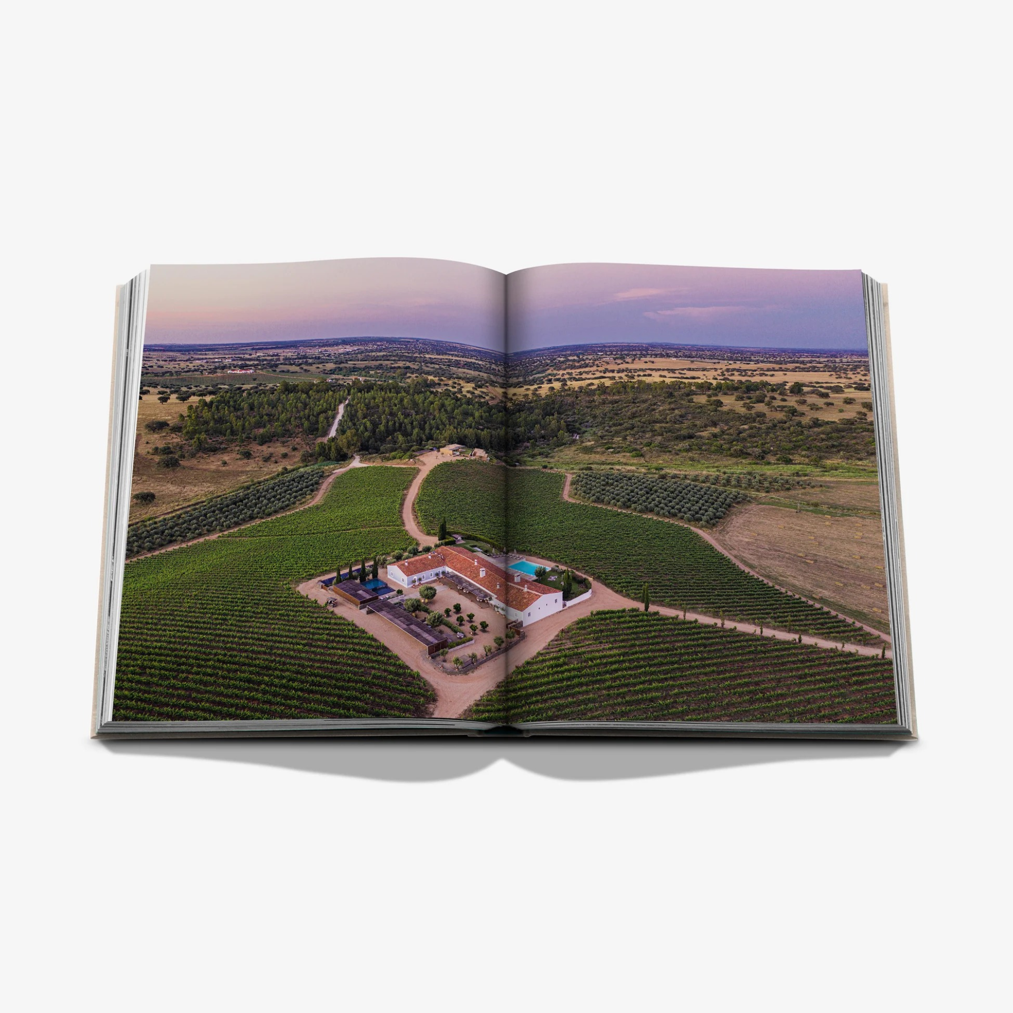 Malhadinha: The Soul of Alentejo