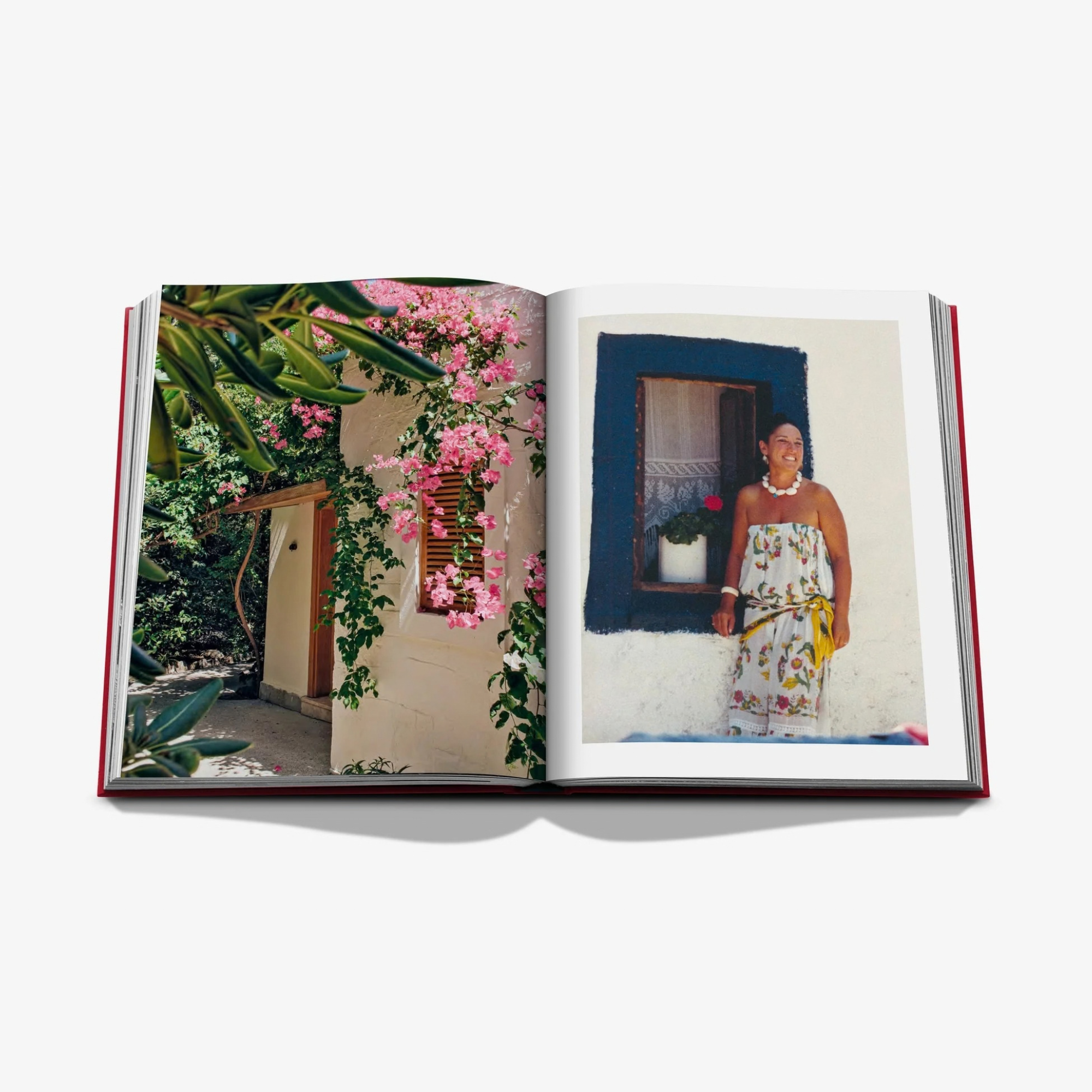 Maçakizi: Everlasting Summer