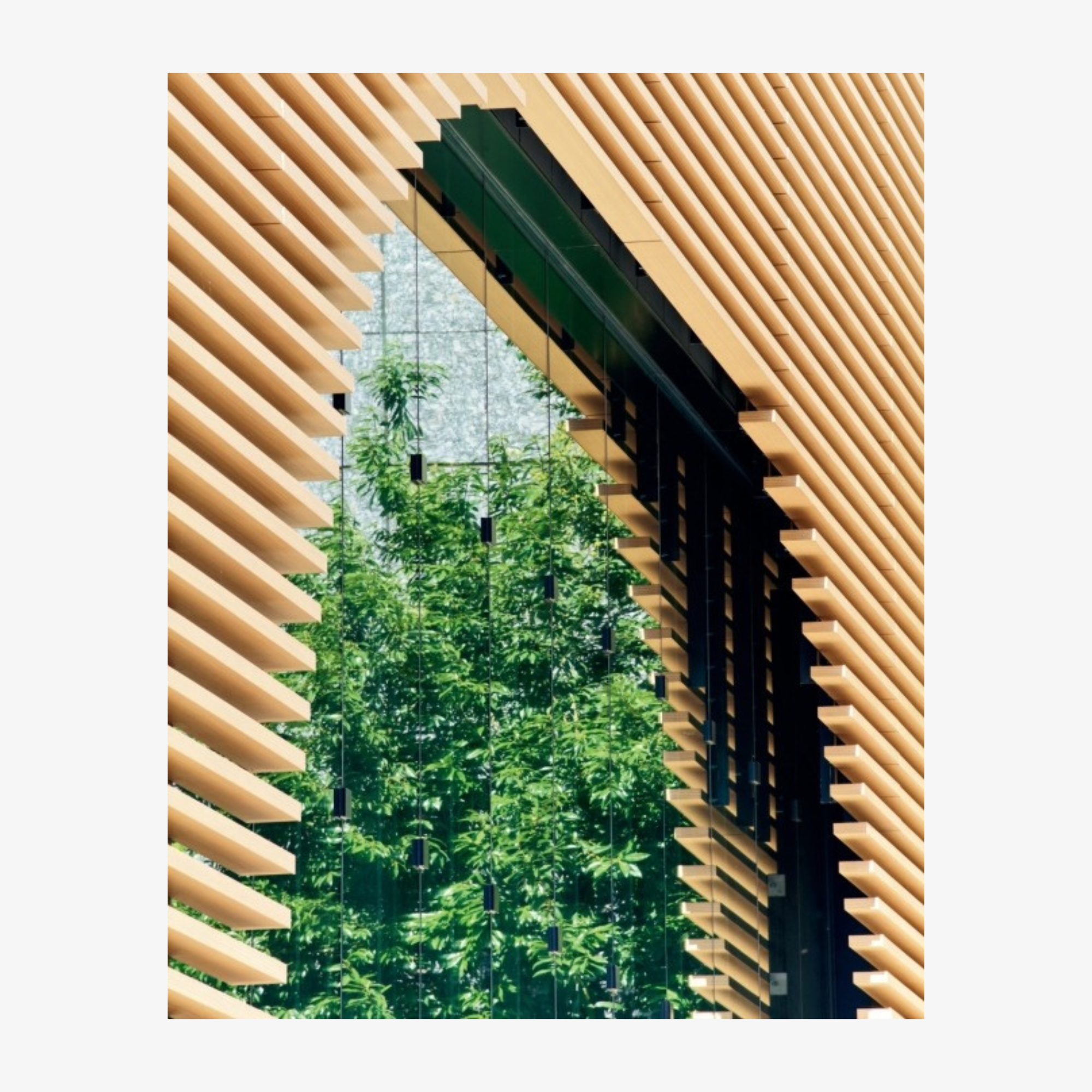 Koichi Takada: Naturalizing Architecture