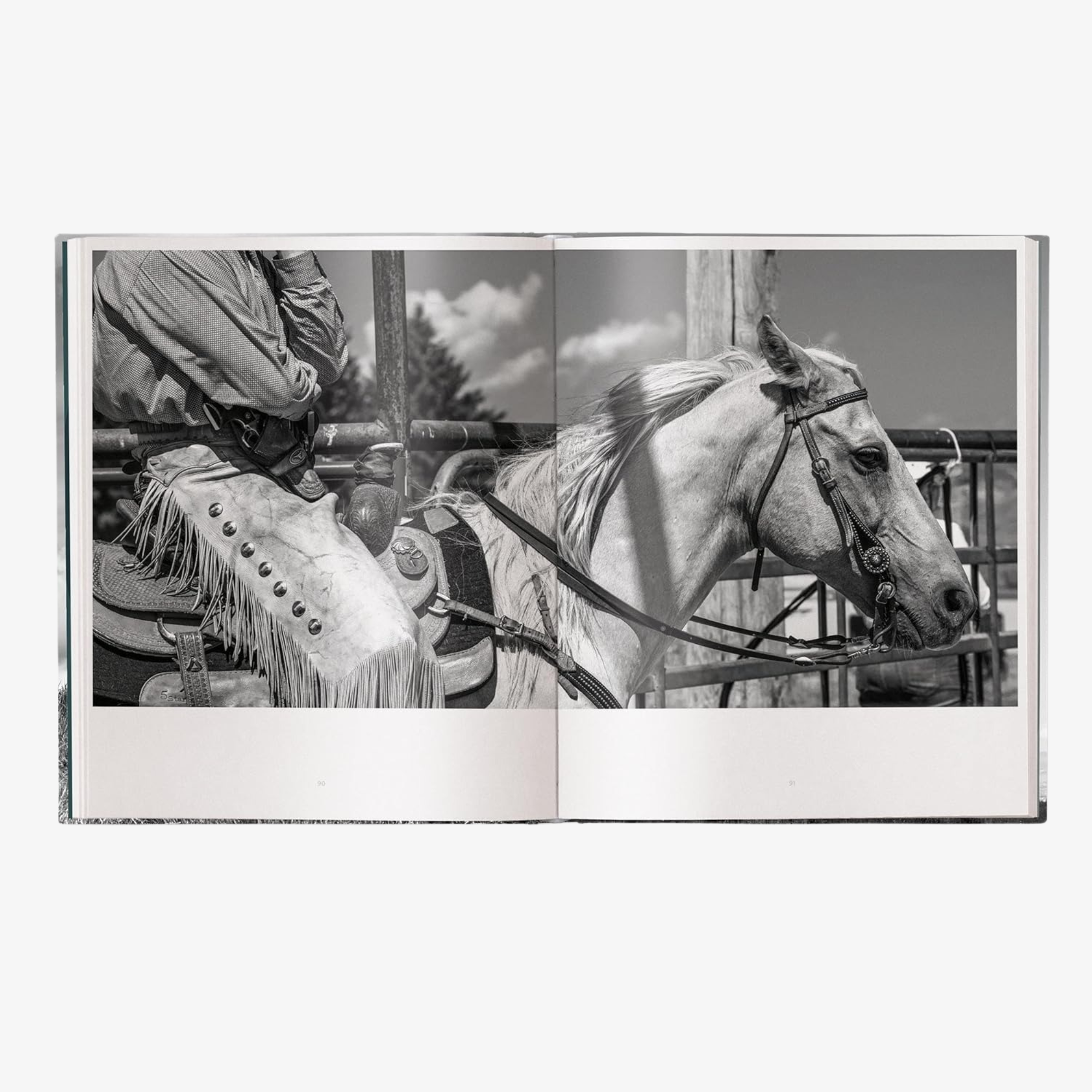 A Ranch Year: Cowboys of the West