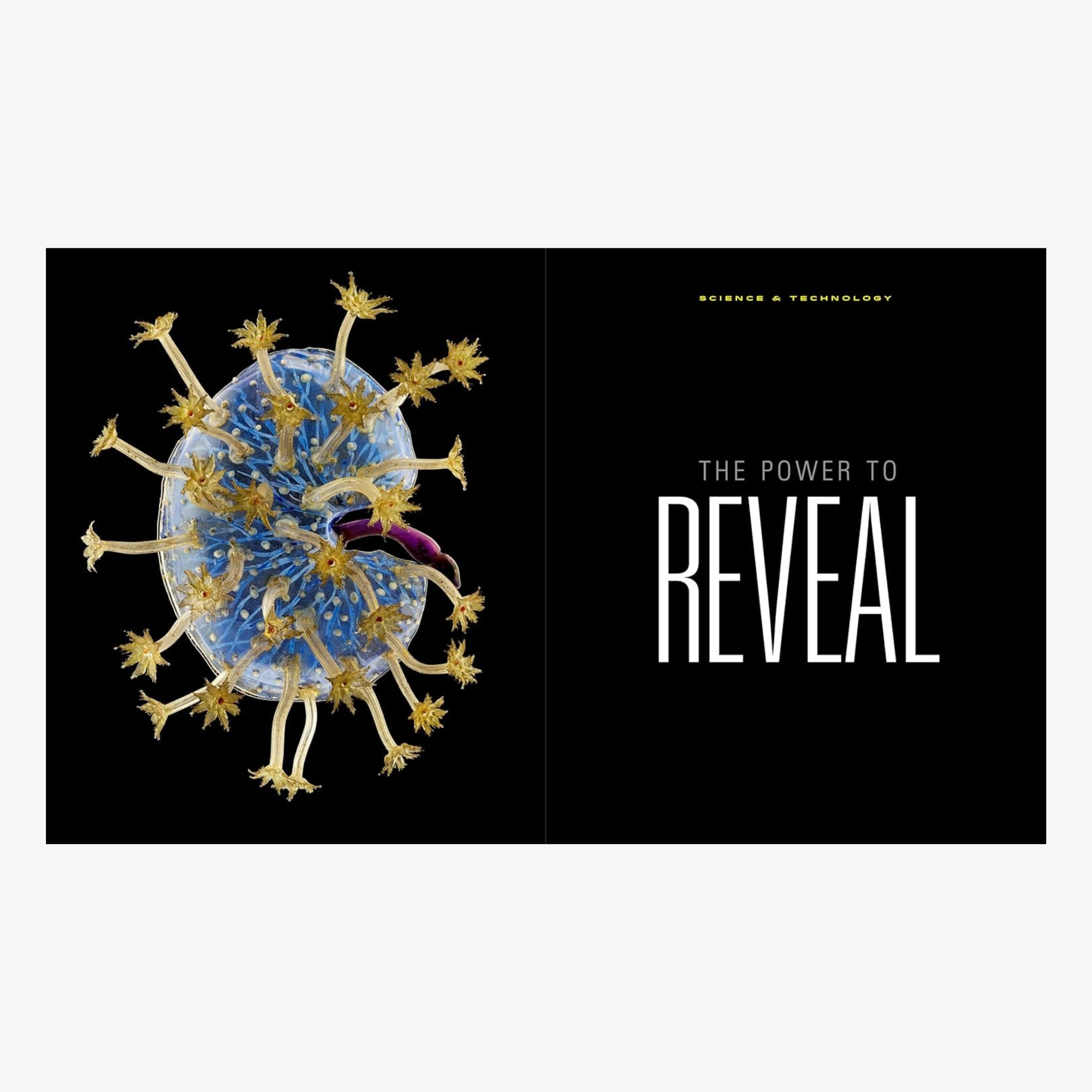 National Geographic The Photographs: Iconic Images from National Geographic