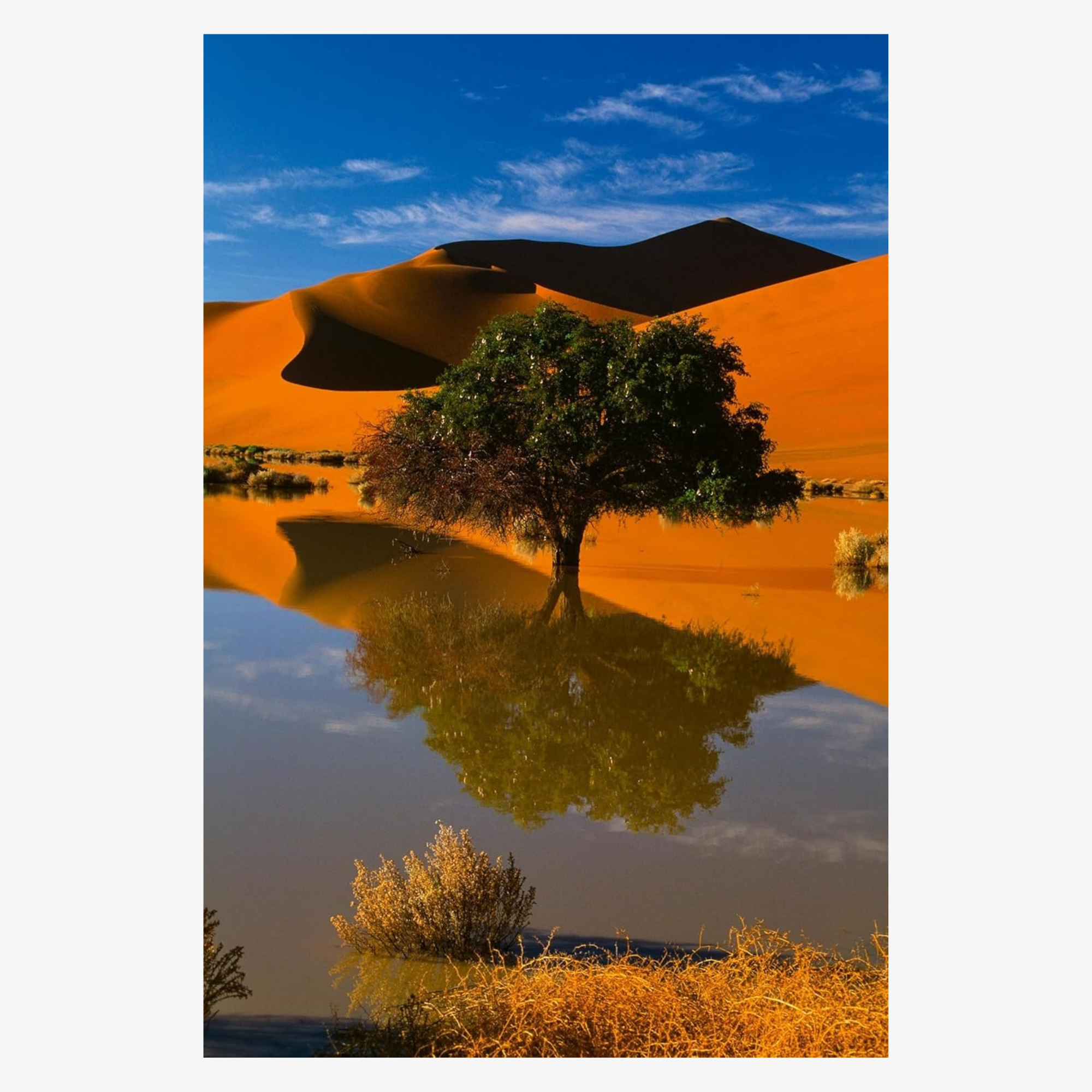 Deserts: The World's Most Fascinating Places