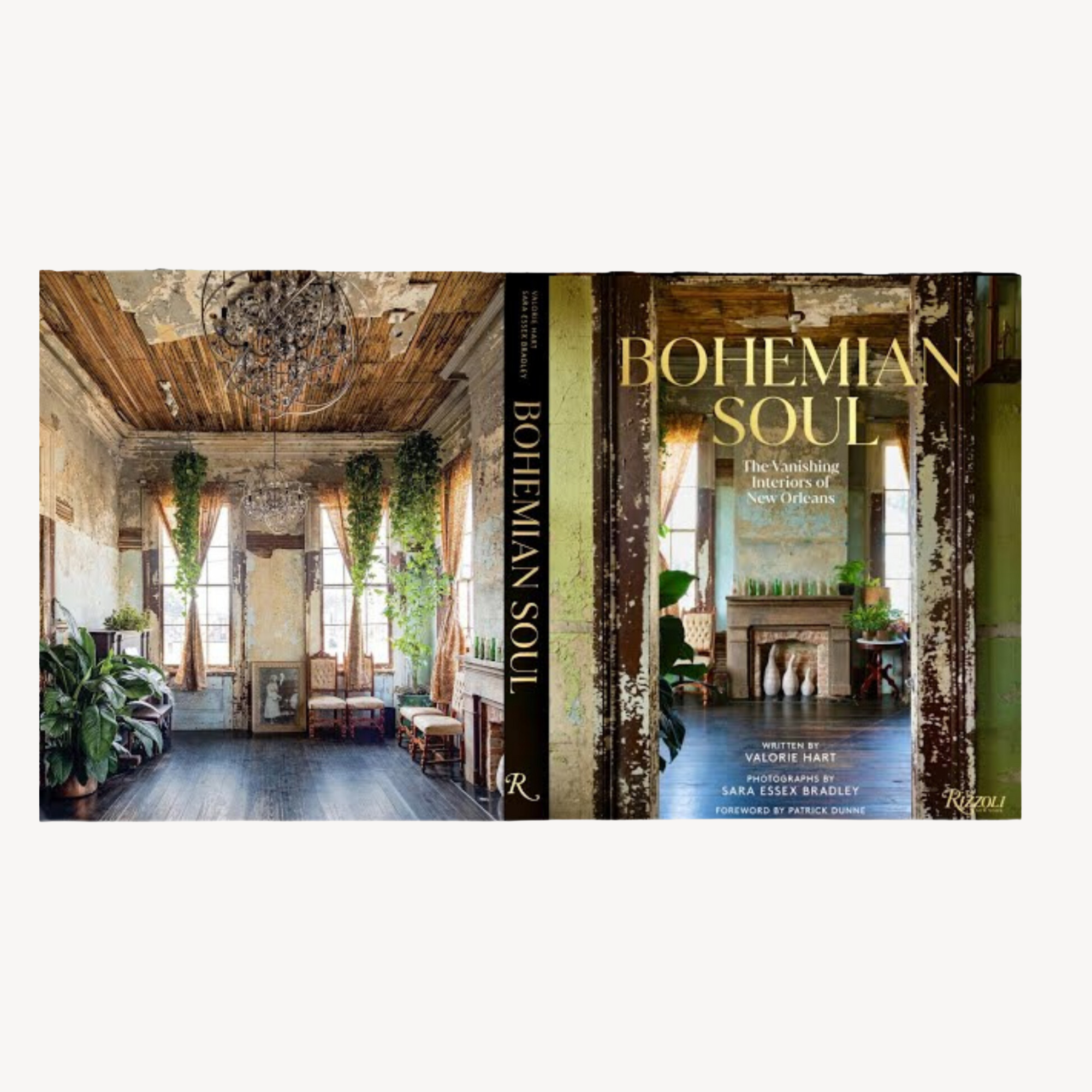 Bohemian Soul: The Vanishing Interiors of New Orleans